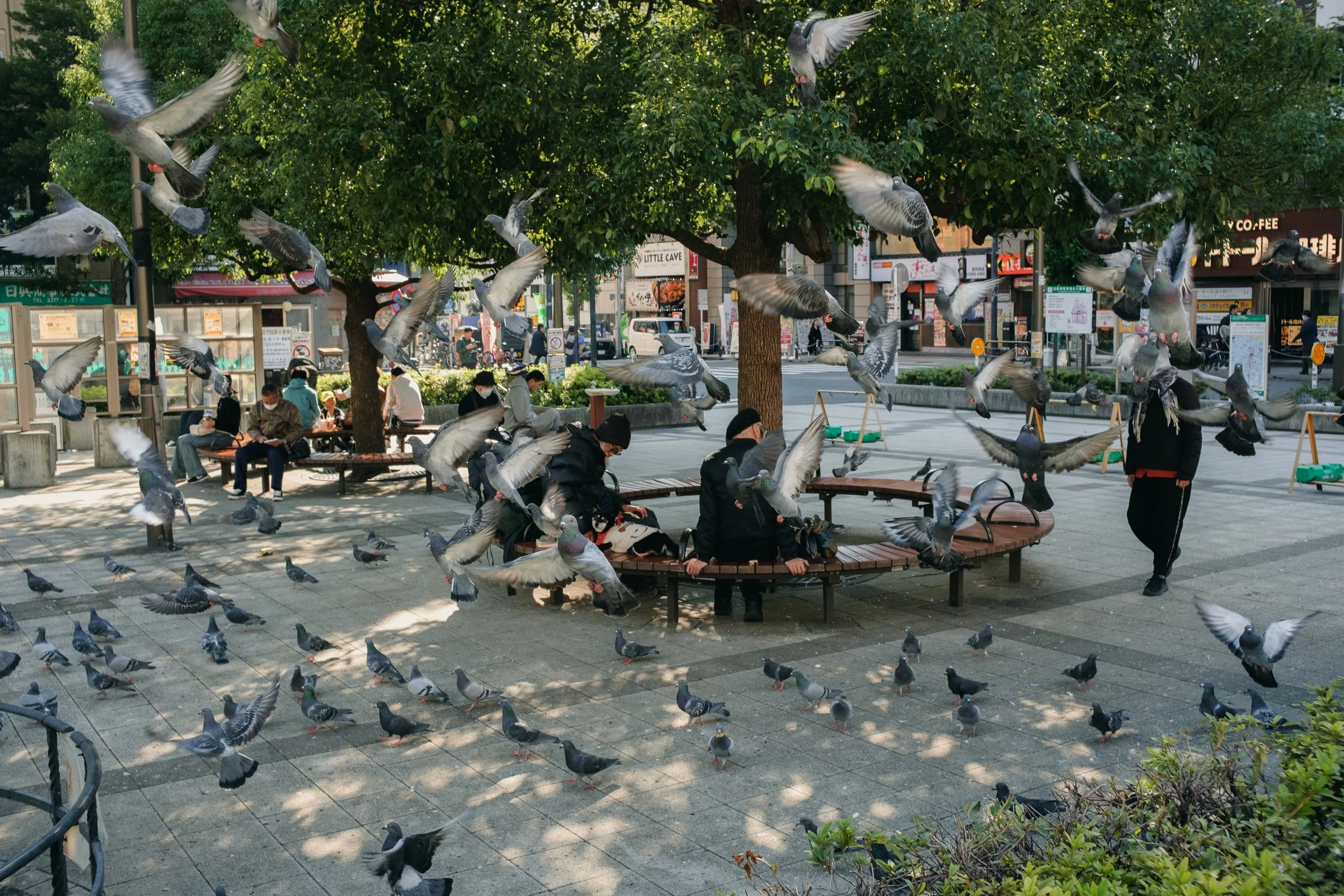 251104 XT2 Nakano x Manazuru-29.jpg