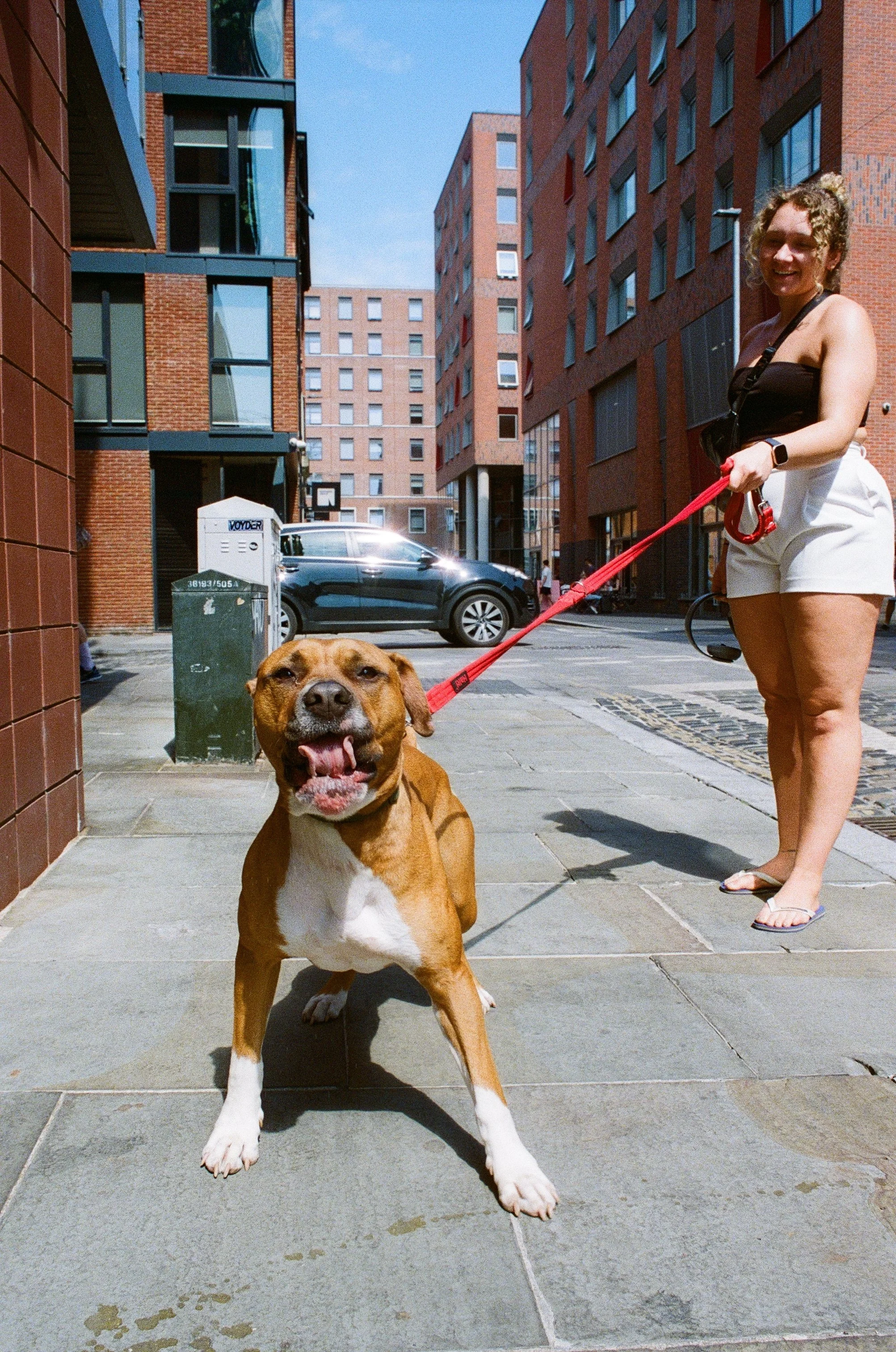 A smiling woman holding a red leash attached to a large brown and white dog on a city sidewalk. Tall apartment buildings and a parked car are in the background under a clear blue sky.