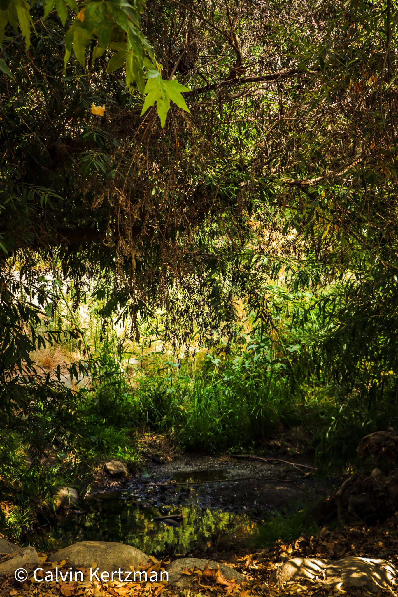 desiderio park