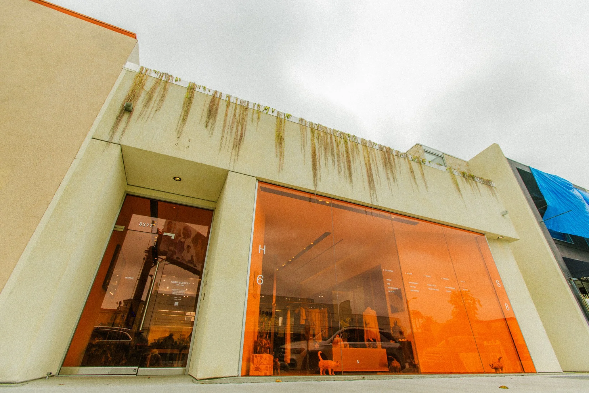 Photo of a modern building with large glass windows and an entrance door. The building has beige and orange exterior walls, with some greenish moss or plant growth on the upper part. The sky above is cloudy.