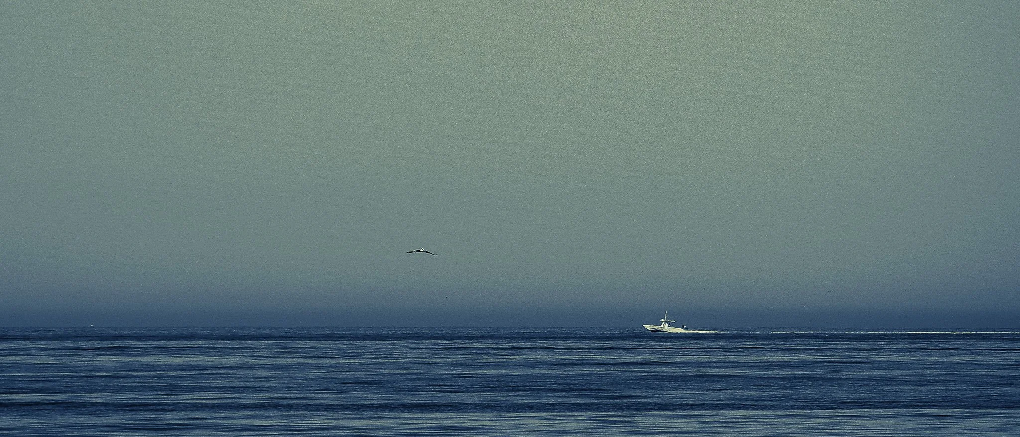 Venice, CA
