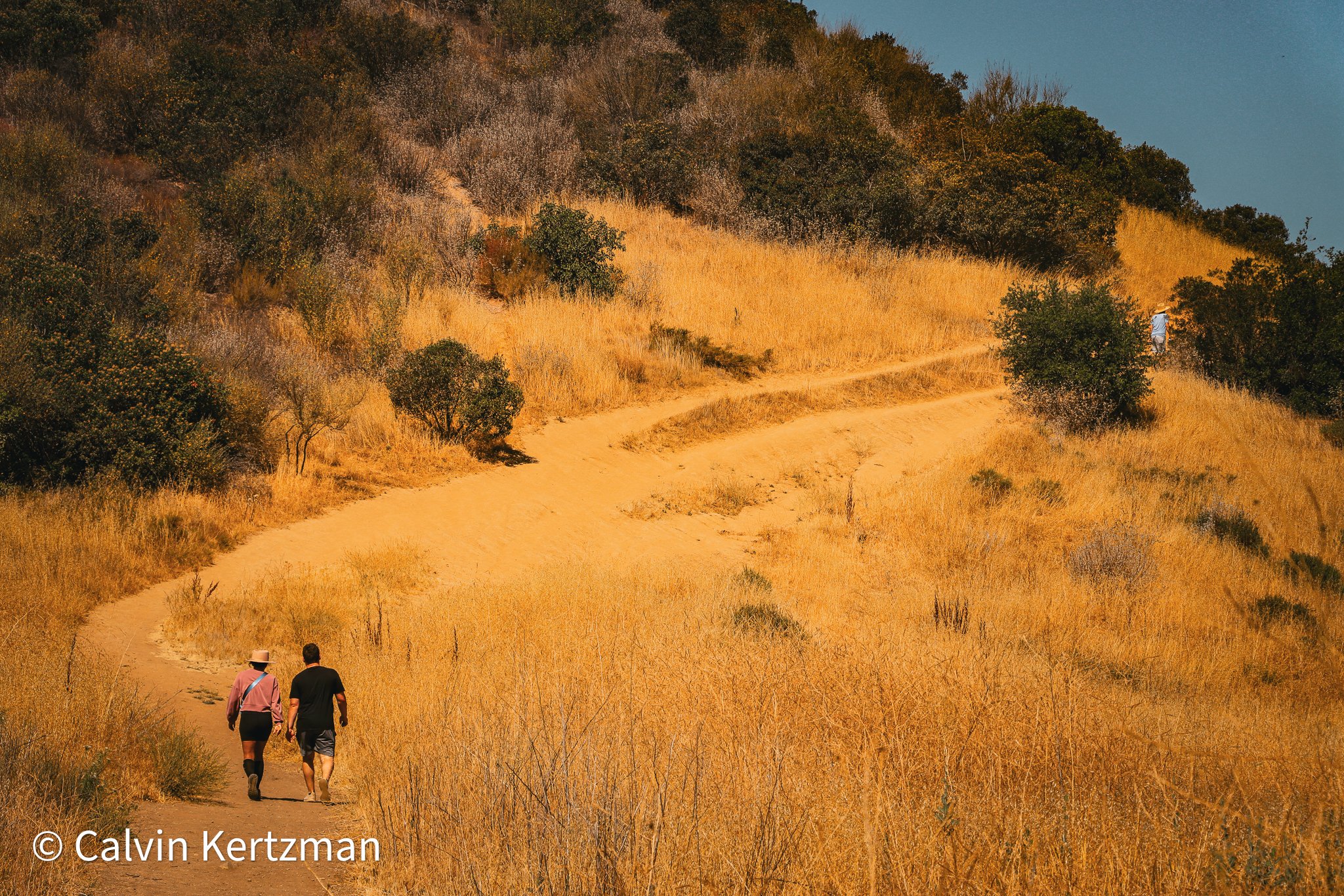 bell canyon