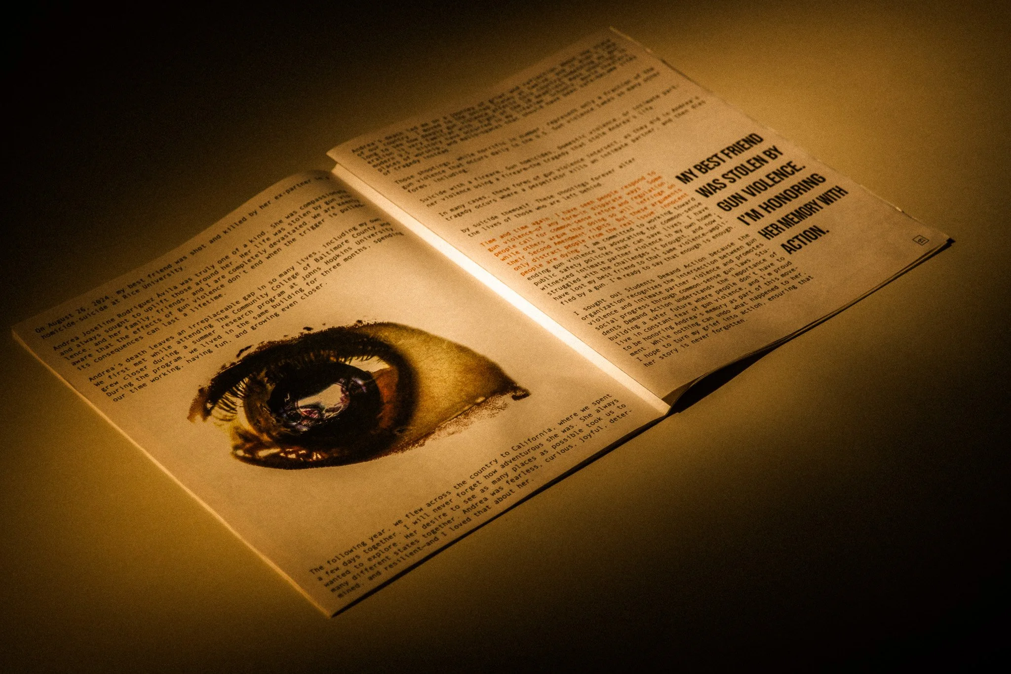 Silence - The Coalition to Stop Gun Violence (Print Zine)