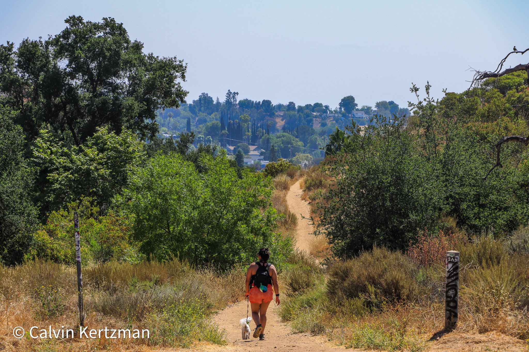 bell canyon
