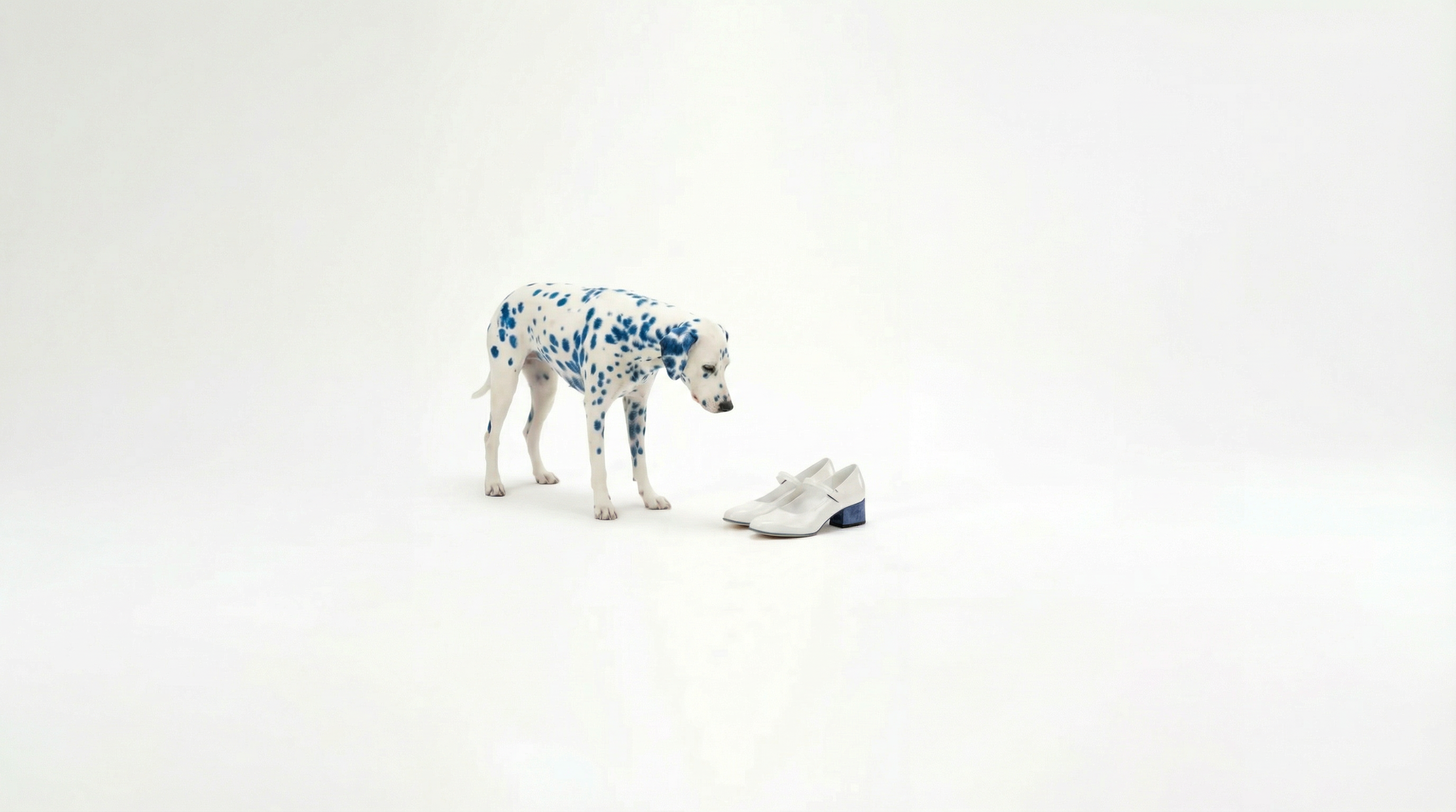 JOJO WHITE WITH BLUE HEEL 1.png