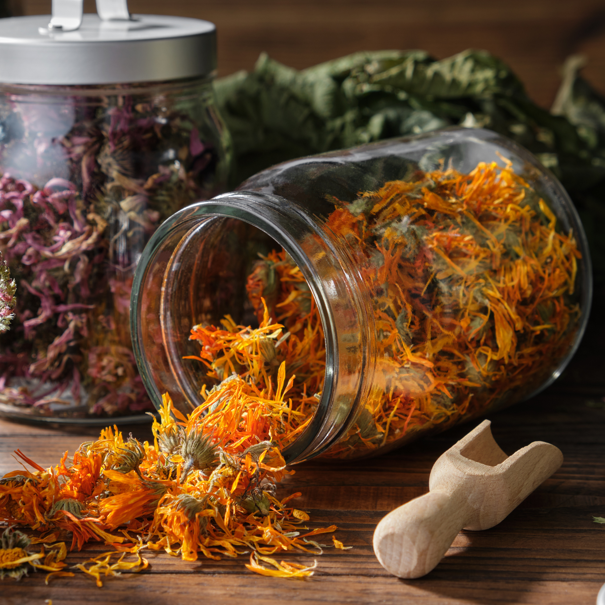 A glass jar filled with dried orange and yellow flowers, lying on a wooden surface with some flowers spilled out. In the background, there are additional jars with dried flowers and green leaves.