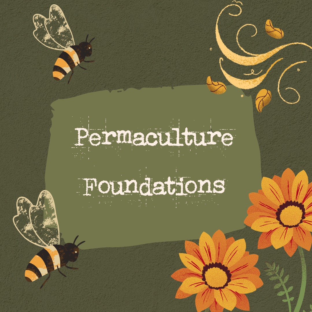 A decorative graphic with a green background, displaying the words 'Permaculture Foundations' in a distressed white font. The design includes illustrations of bees, swirling plant tendrils, and orange flowers.