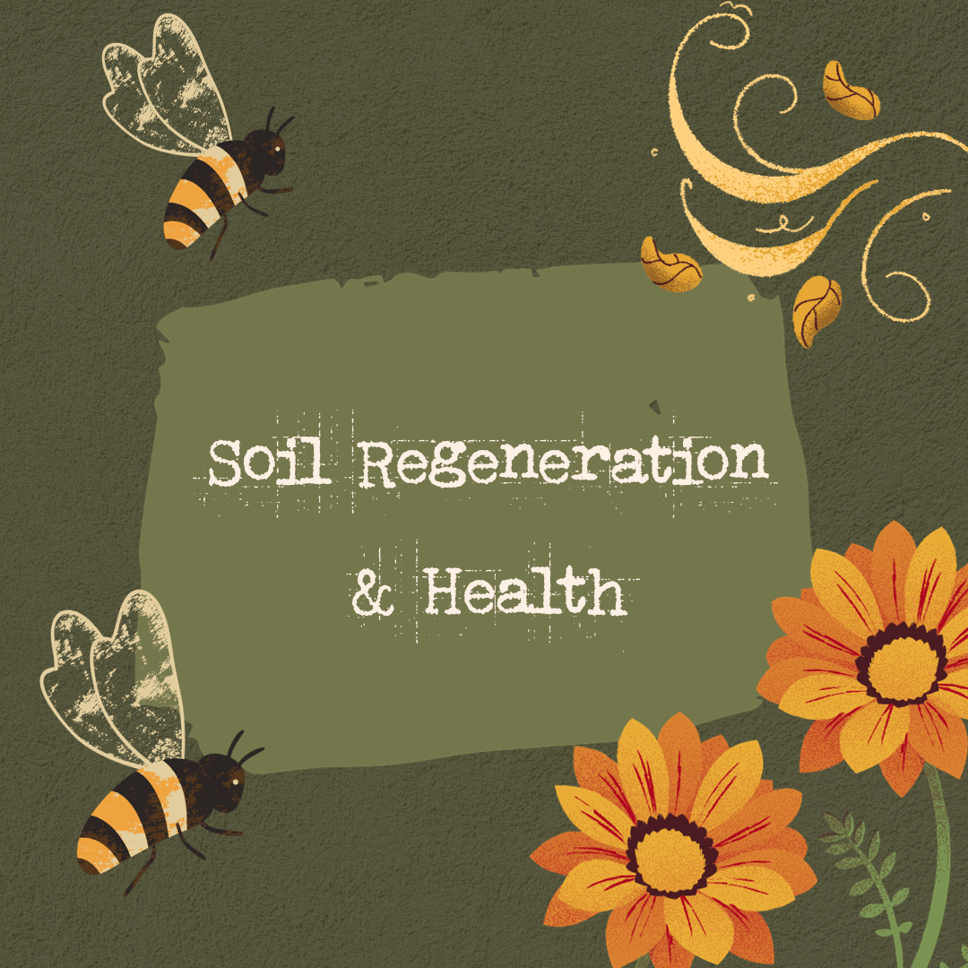 Illustration with bees, flowers, and swirling design elements featuring the text 'Soil Regeneration & Health'.