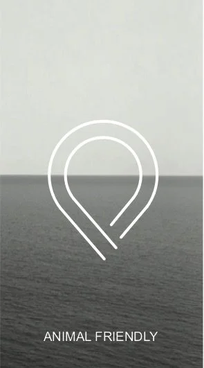 BACKGROUND SINGLE Master .jpg