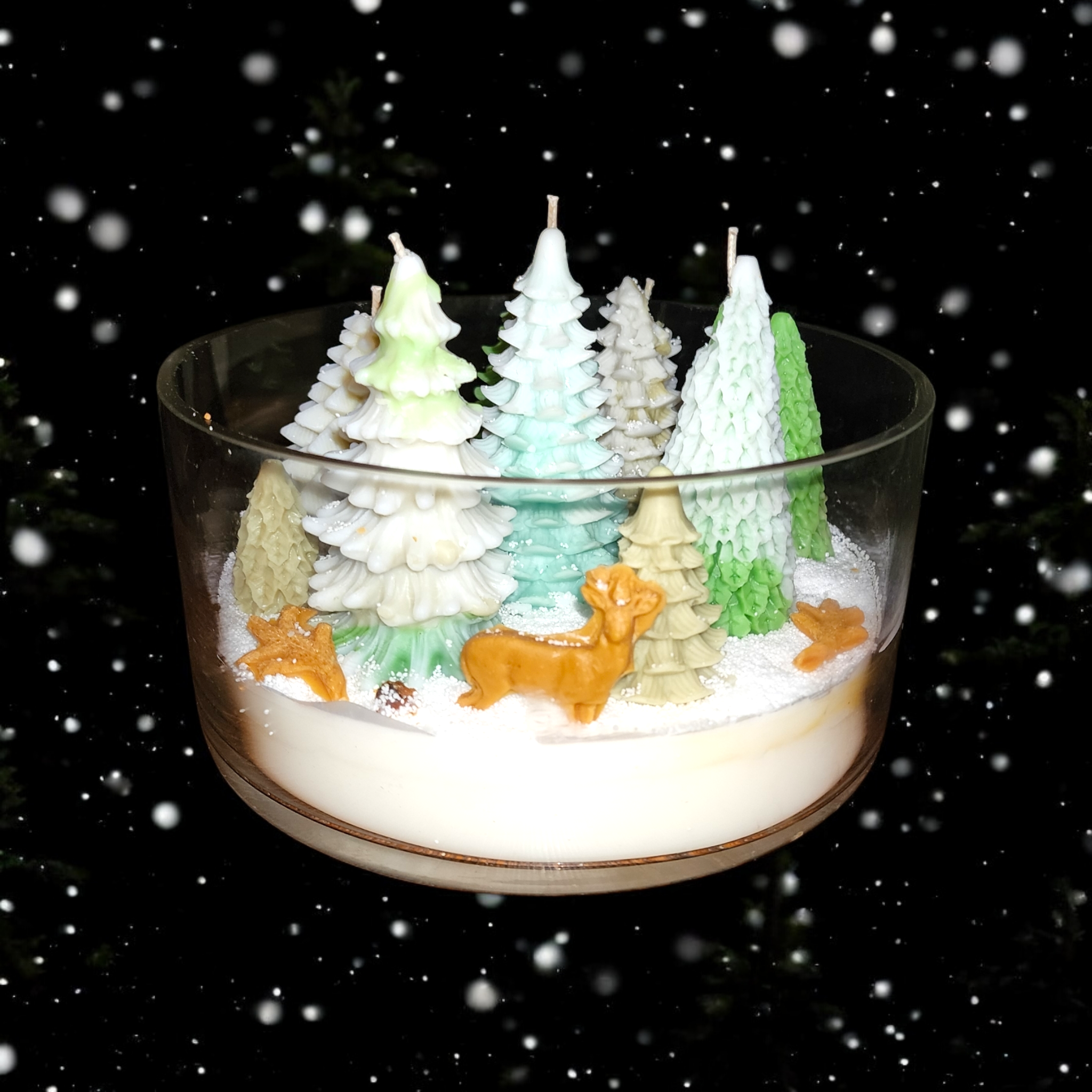 Photoroom-20251201_182649786 (3).png
