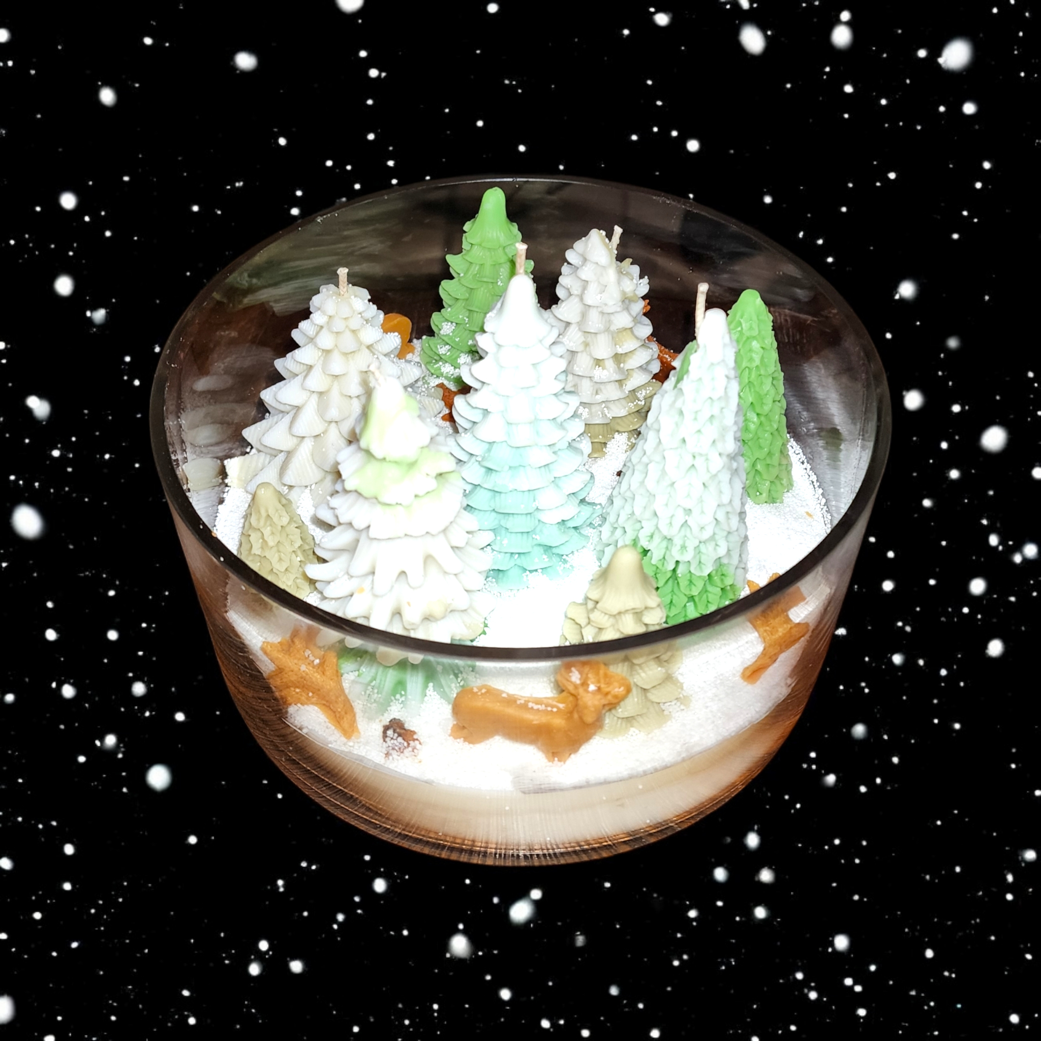 Photoroom-20251201_182649786 (2).png