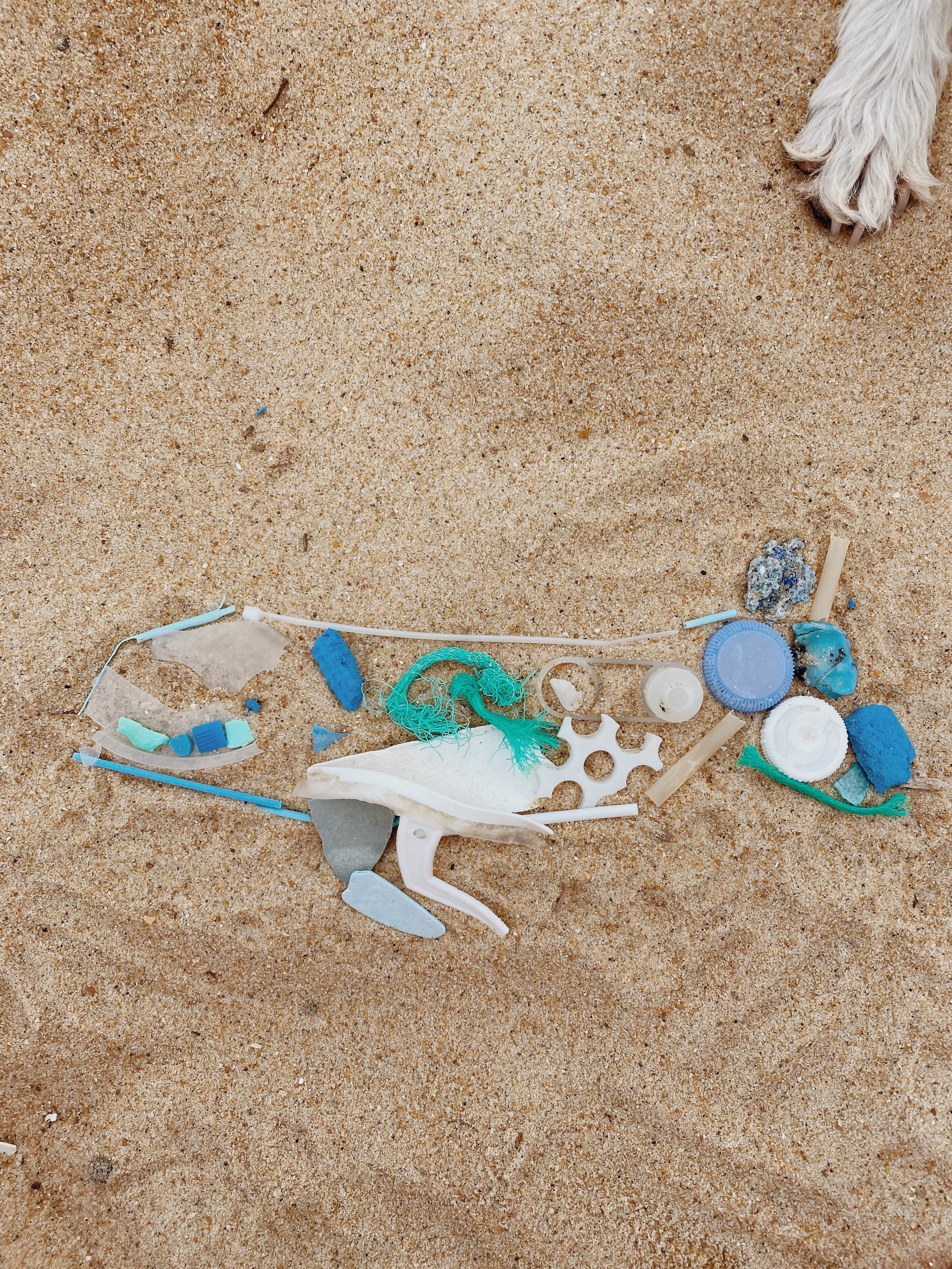 ocean-trash.JPG