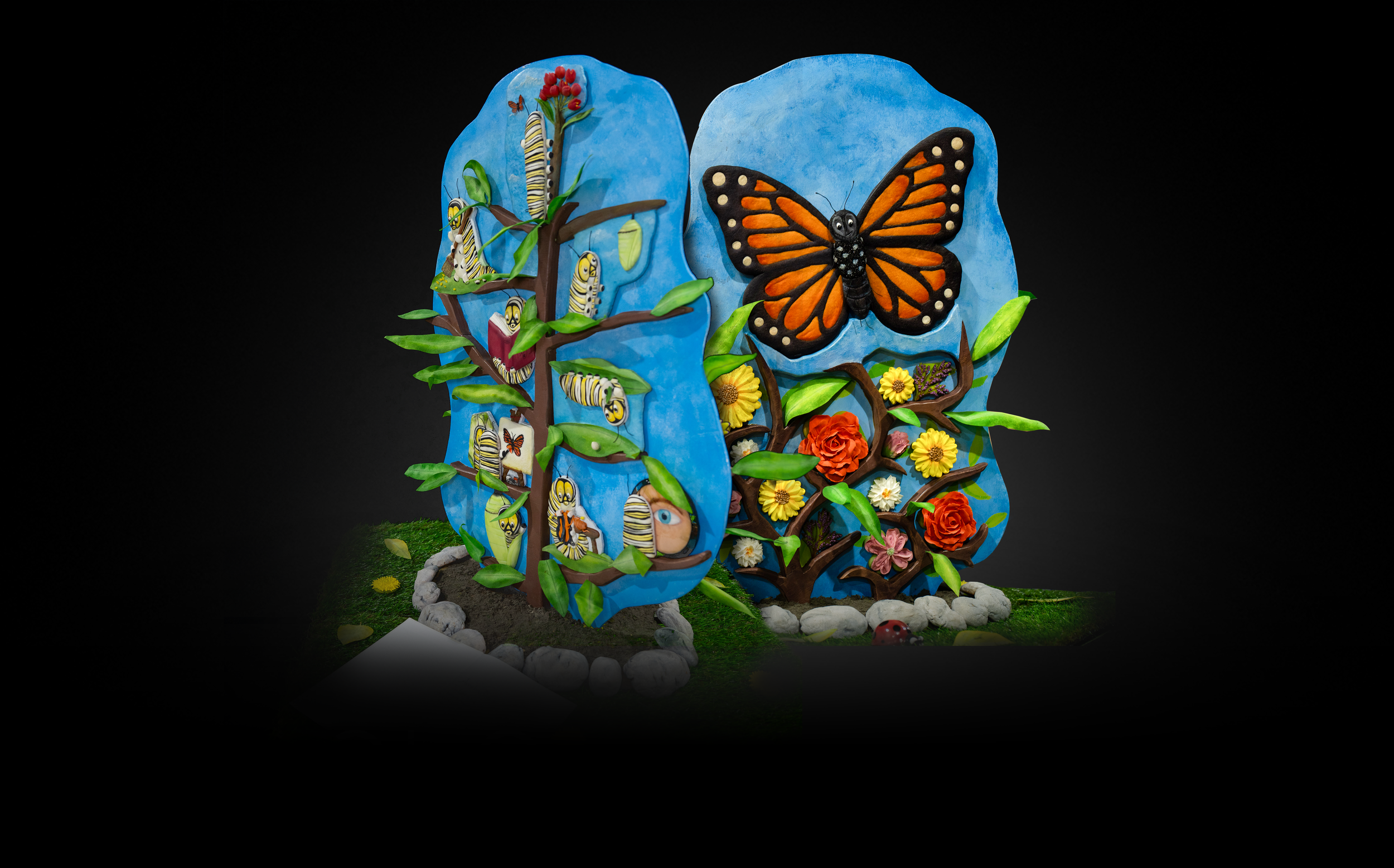 Cookie Showocase.png (Copy)