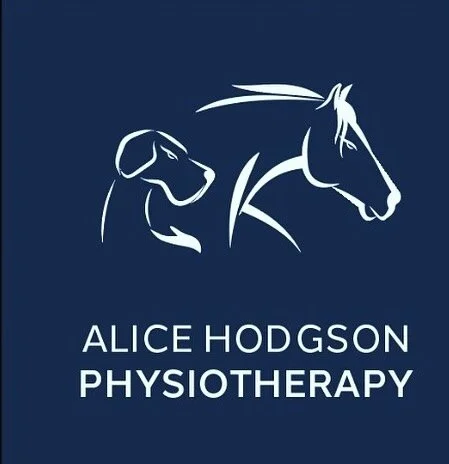 🌟🌟 Very excited to be launching my new business providing physiotherapy for equine and canine clients in Bristol, Bath and the surrounding areas 🐕 🐎 🌟🌟
 
☎️ Please get in touch to book an assessment or for more information. I look forward to he