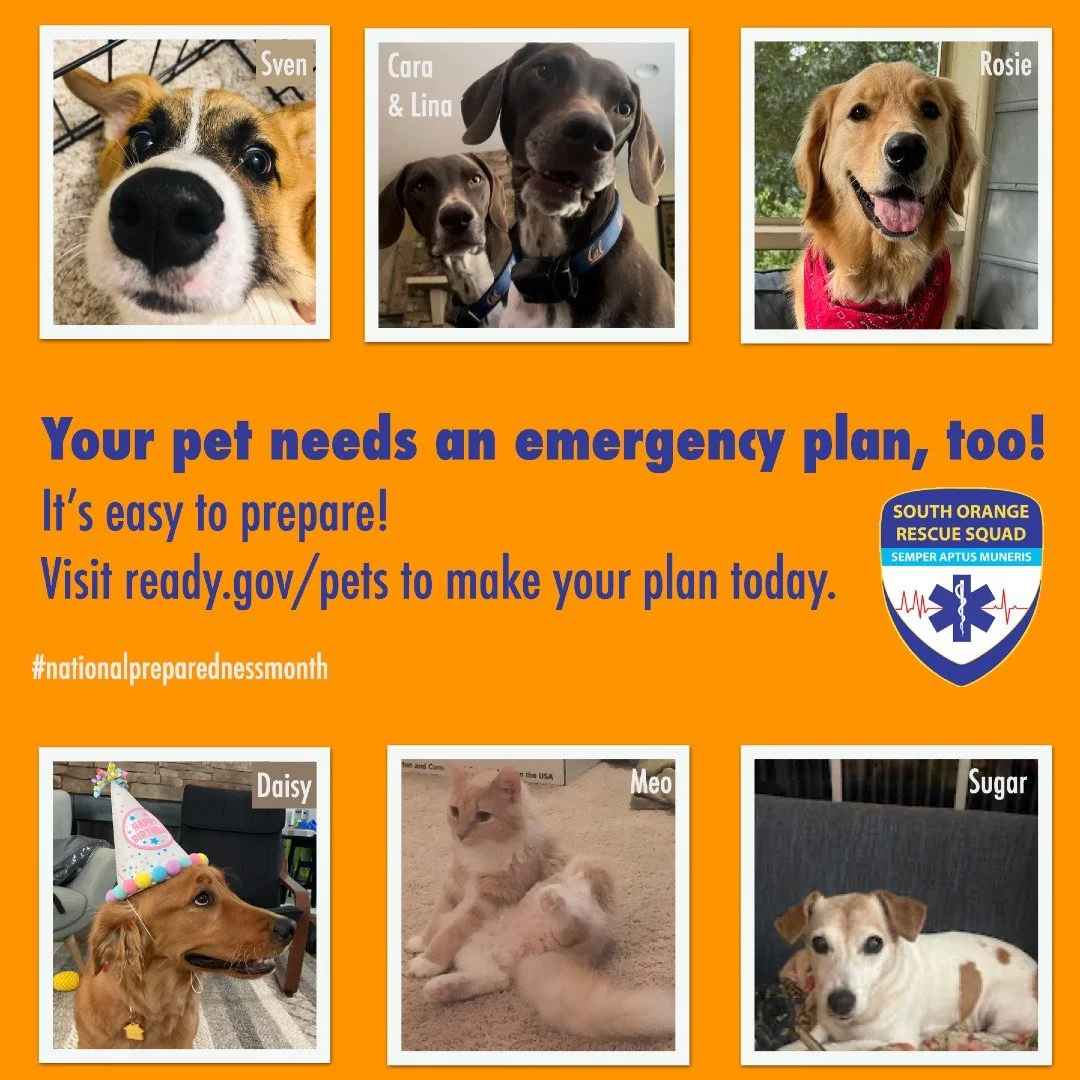 🐕&zwj;🦺🐍 Our volunteers' furry family members are here to remind you that #nationalpreparednessmonth is a good time to make an emergency plan that includes your pets, too.🐈 🦜 Get the information you need at ready.gov/pets. #ocnc #petsafety