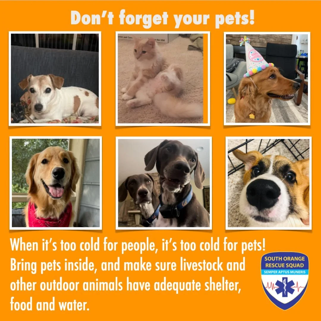 Keep the animals in your care safe! 🐴🐮🦆🐐 Get more advice here on our feed. #ocnc #winterstorm #ncwx
