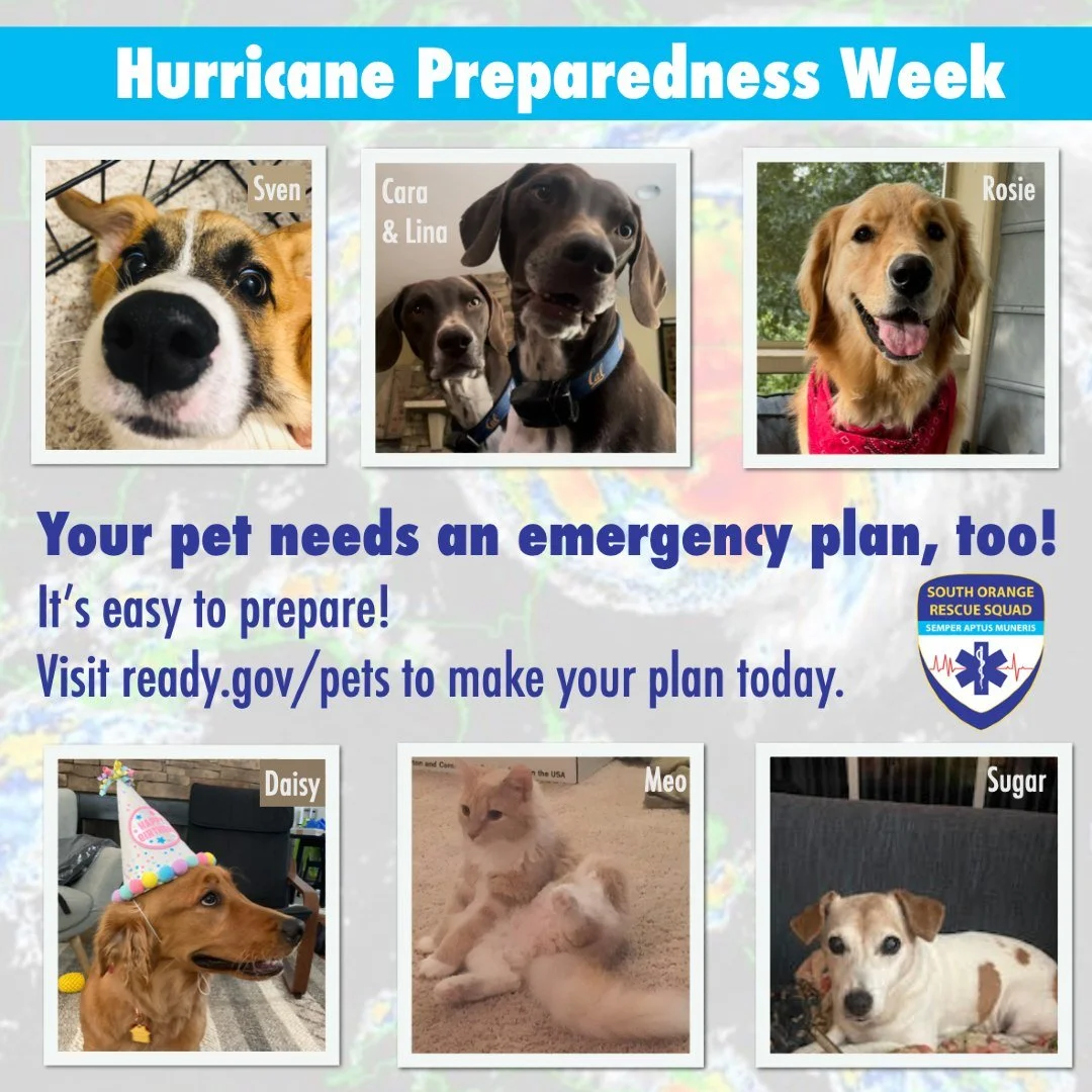 Our volunteers' pets remind you to include *your* pets when developing a hurricane plan! See what they need at ready.gov/pets. 🐶😺🐟🐹🐍 #hurricanepareparednessweek