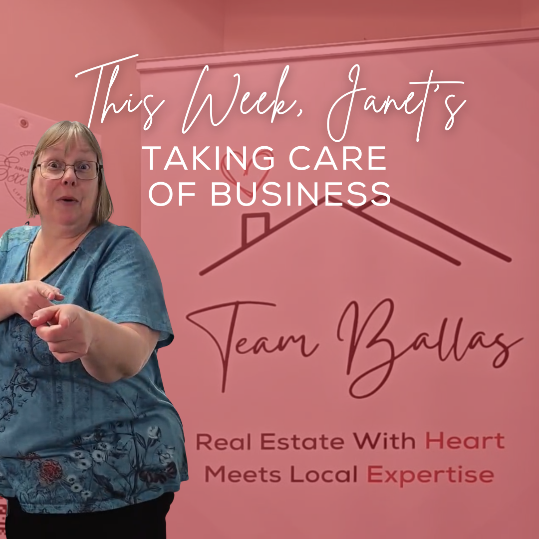 Optimism, Stability, and Early Momentum