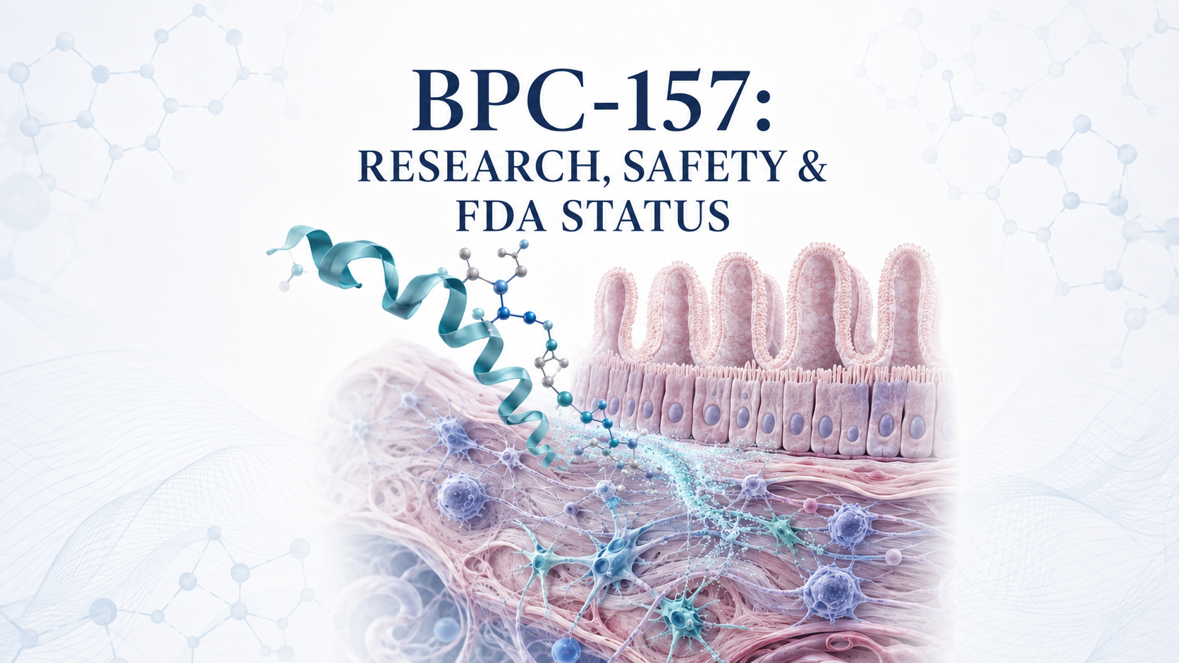 BPC-157 Peptide: Potential Uses, Research, Safety, and the 2026 FDA Compounding Update