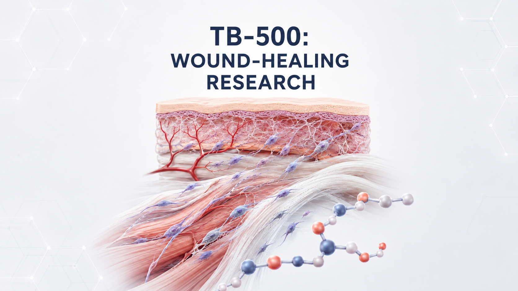 TB-500 Peptide: Wound-Healing Research, Proposed Uses, Safety, and FDA Status