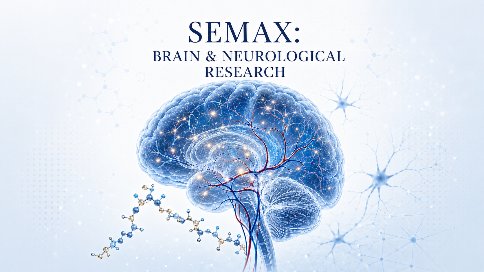 Semax Peptide: Neurological, Cognitive, Stroke and Migraine Research and FDA Status