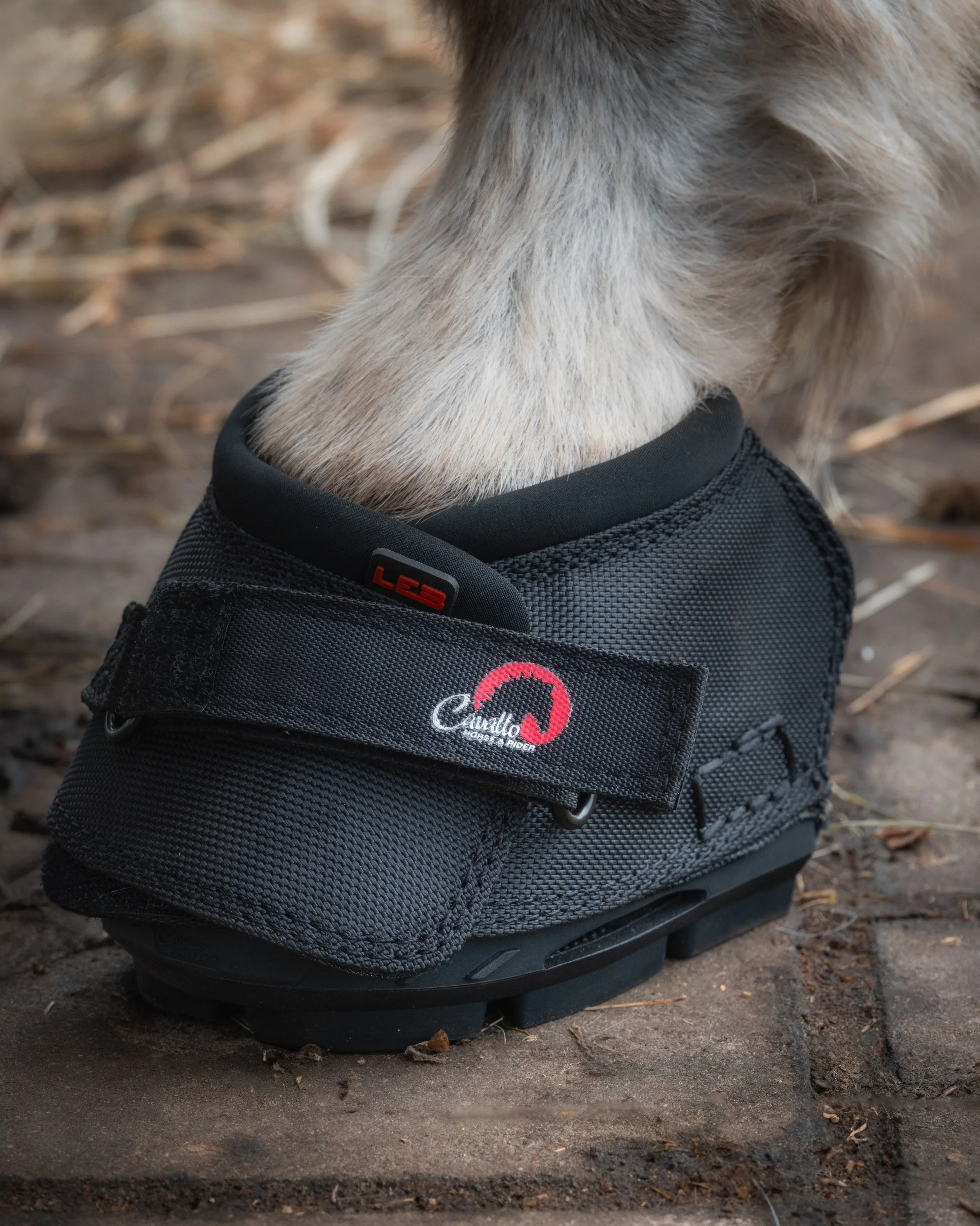 Black Cavallo LEB Donkey Hoof Boot on hoof.jpg