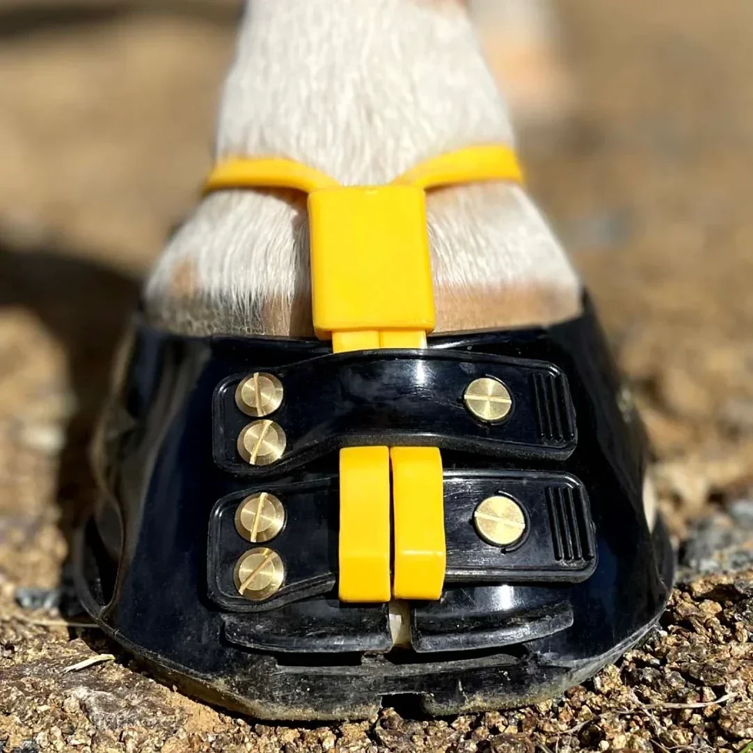 mudstrapcollarpackmarigold2__58122.webp