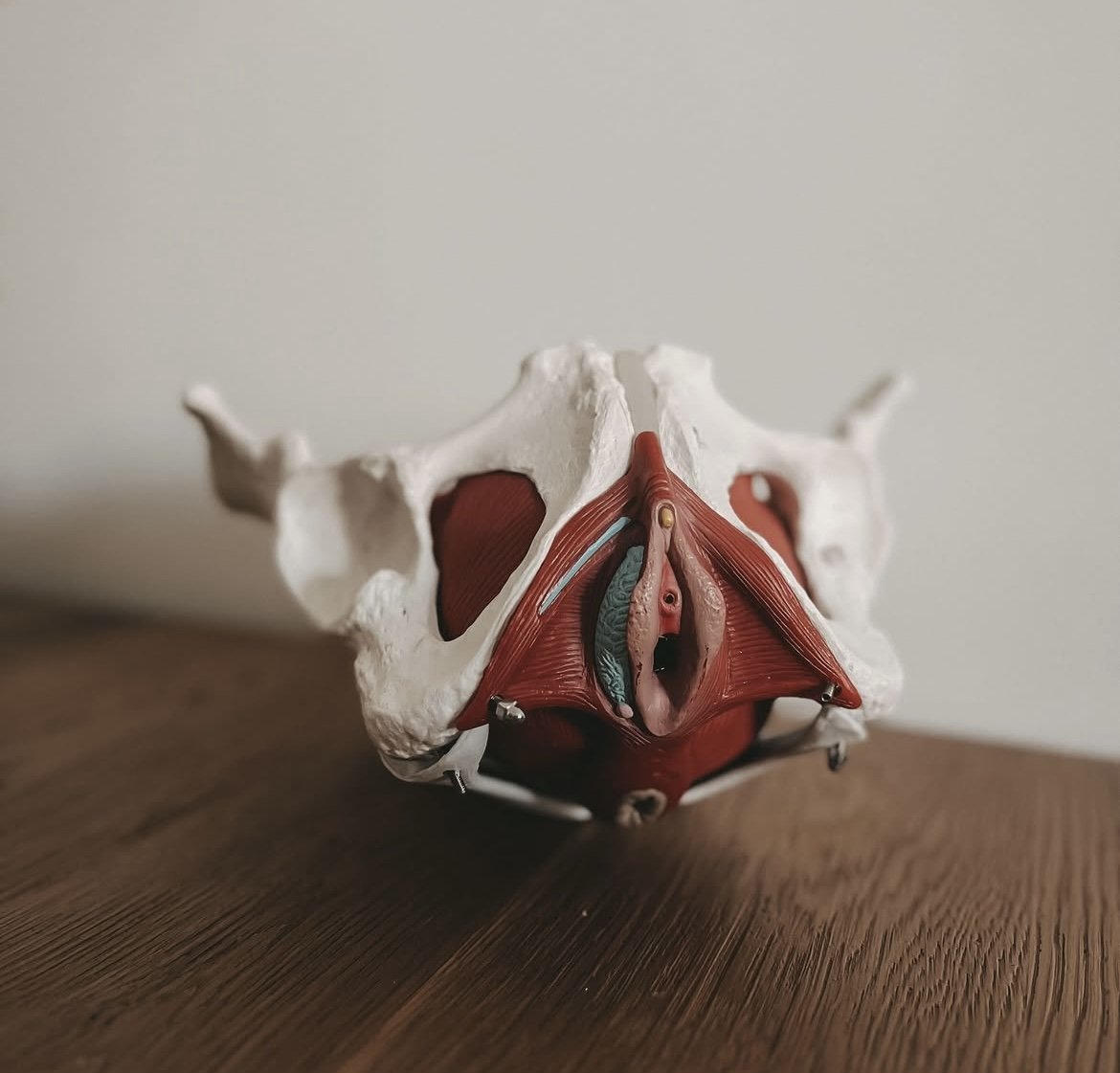 Stark im Kern - Beckenboden intensiv für Frauen 