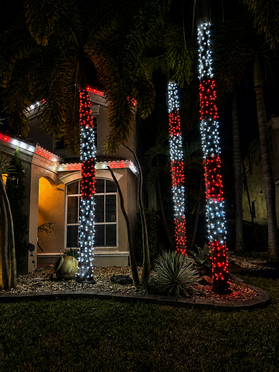 Nighttime view of house with palm trees wrapped in red and white Christmas lights.