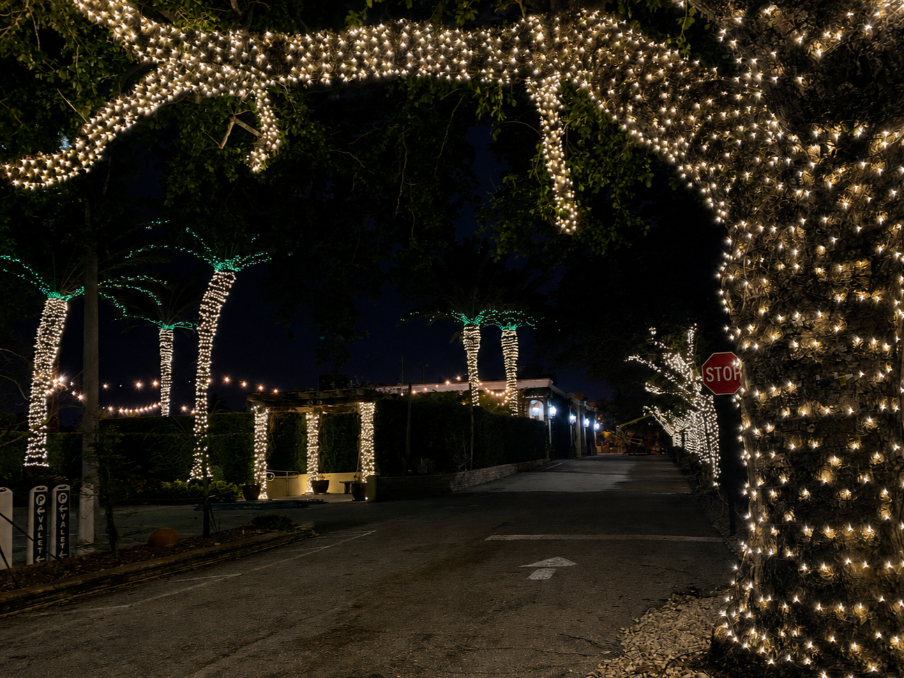 Nighttime street scene decorated with trees wrapped in white and teal string lights, creating an illuminated canopy.