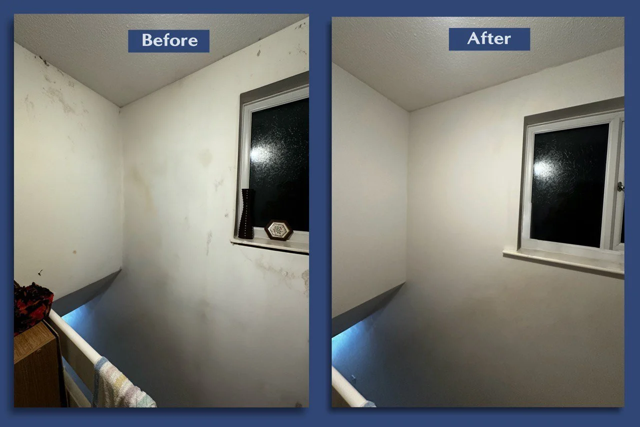 Painting before and after.jpg