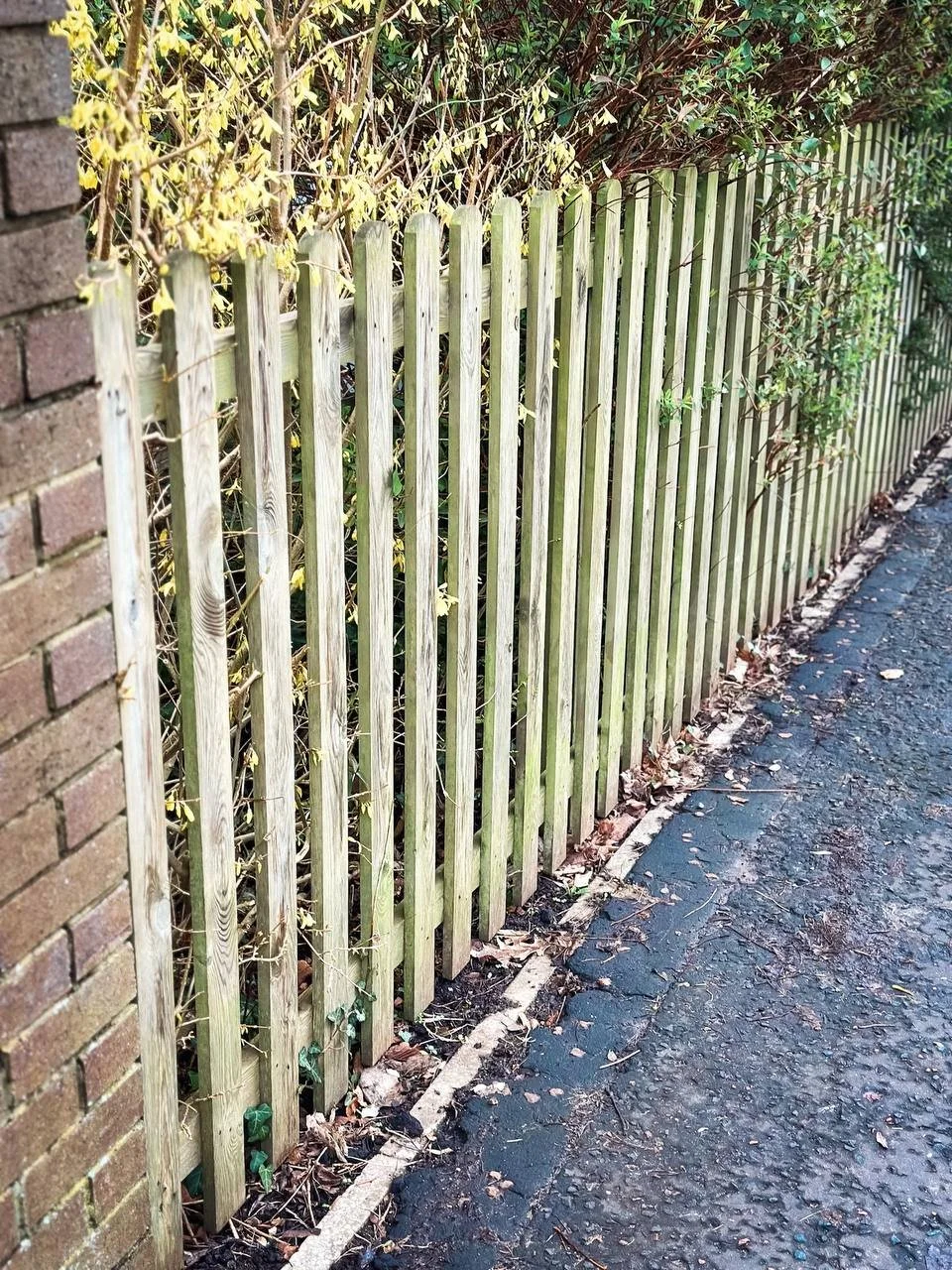 wooden fence.jpg