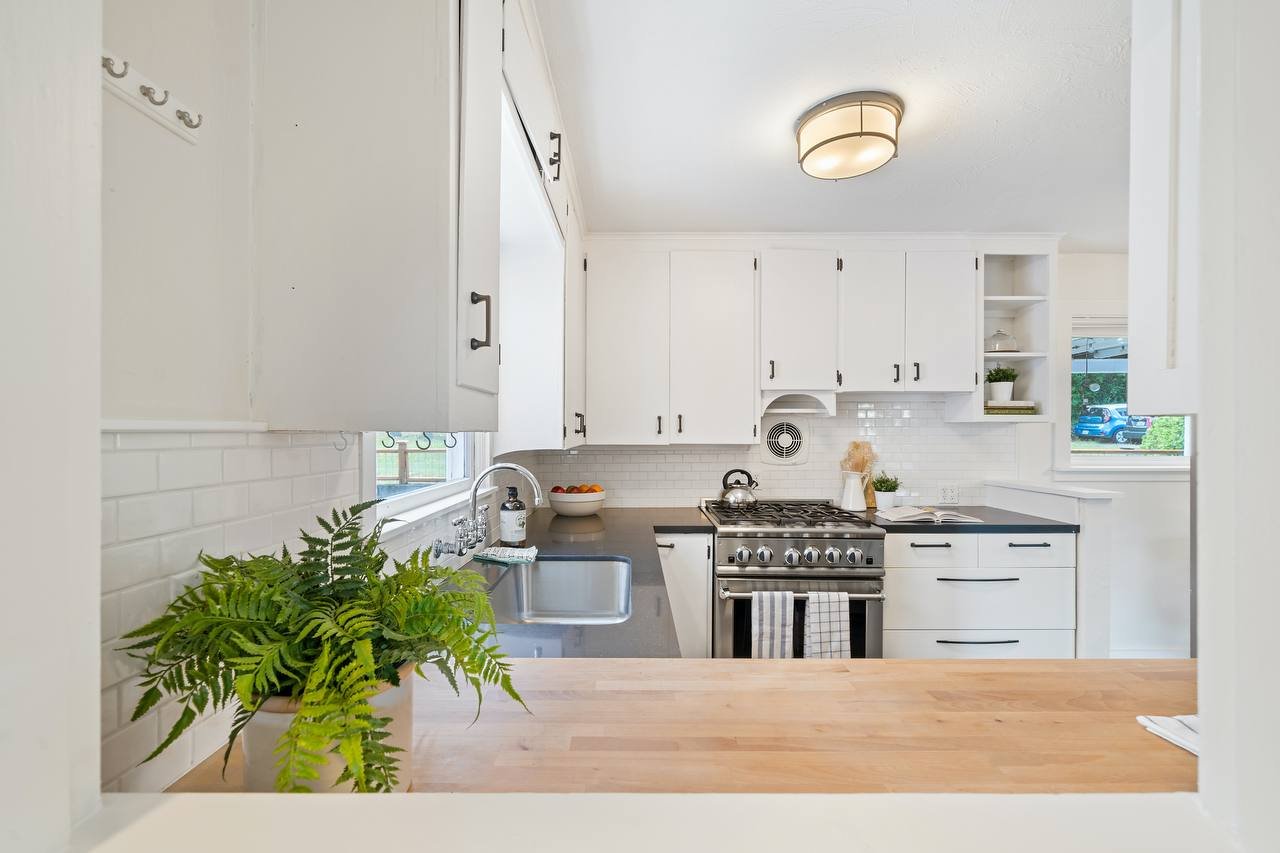 Modern white Kitchen with white cabinets and a plant on the front