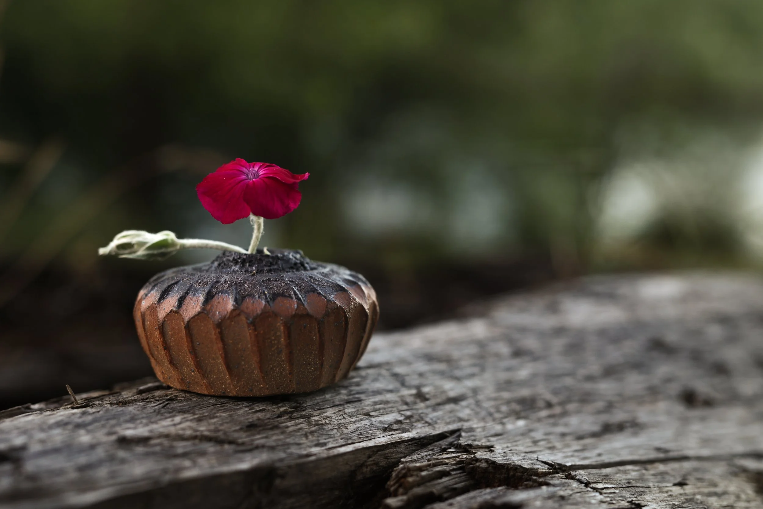 krene.studio-No.2Ceramics-18.jpg