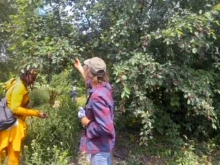 Fair Amount Food Forest