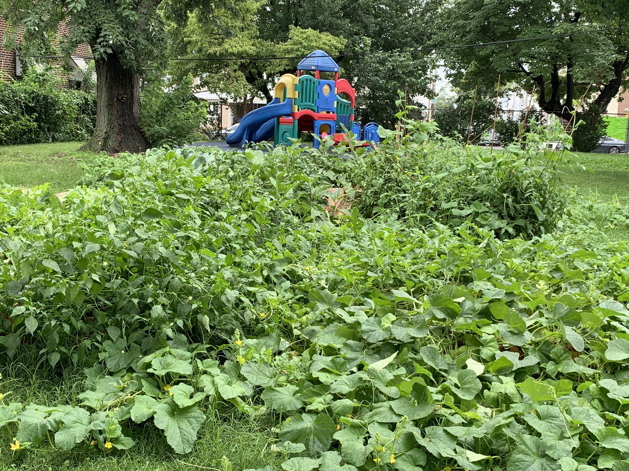 IMG_7789.jpeg