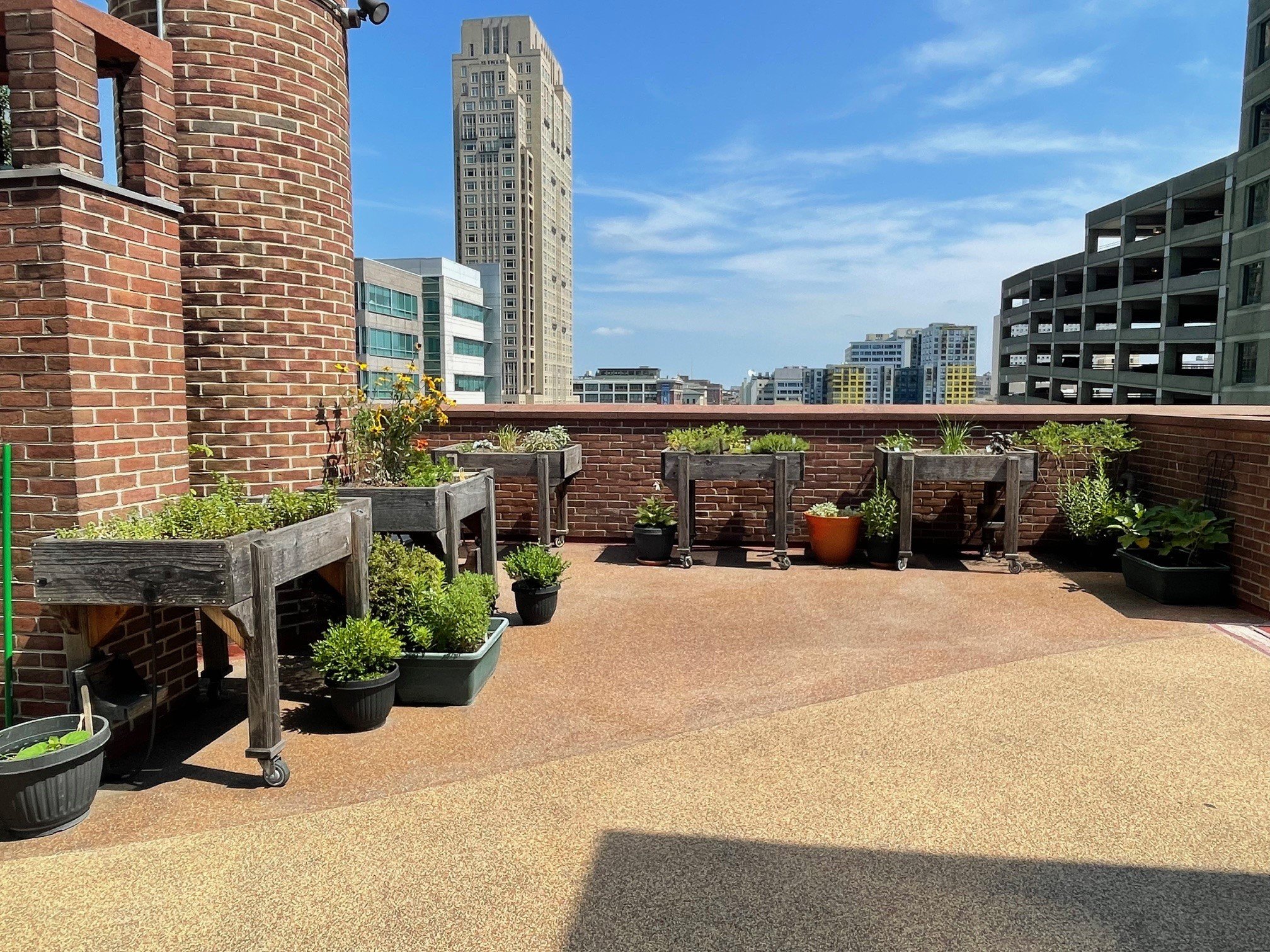 summer herb gardens.jpg