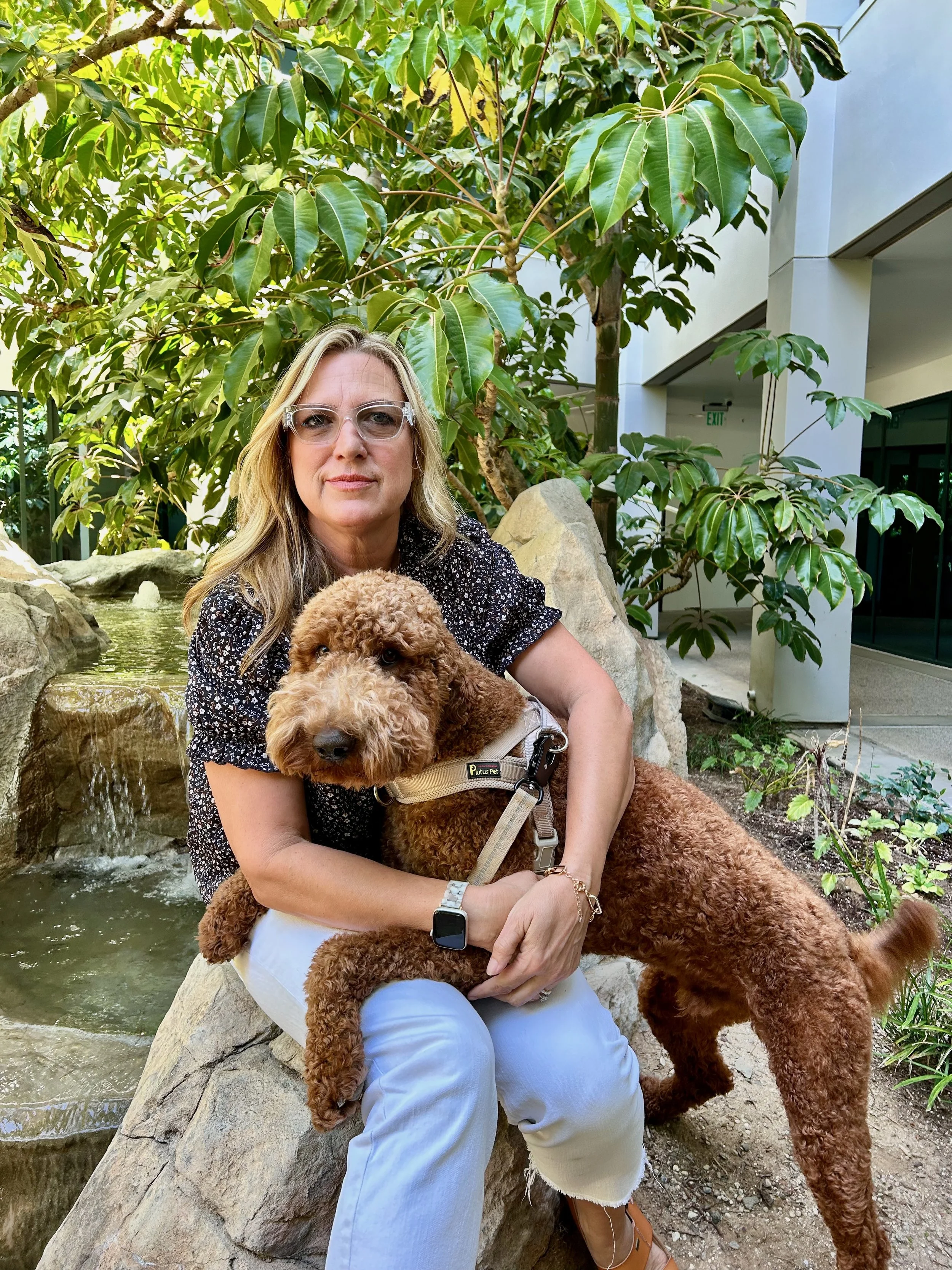 What to expect from counseling, in Santa Clarita, CA.