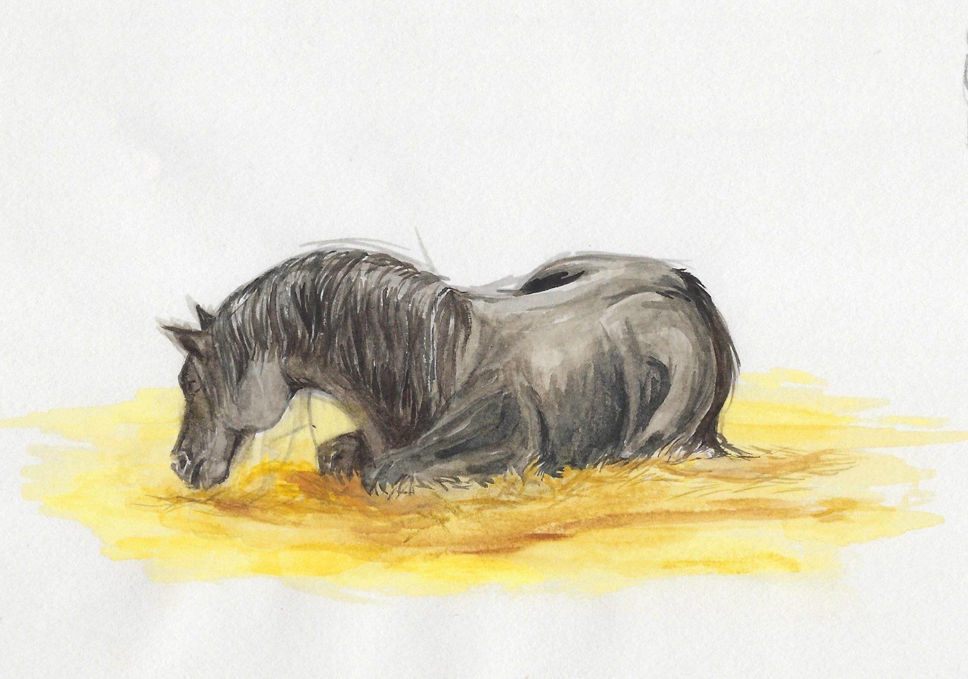Sleeping Pony.jpg