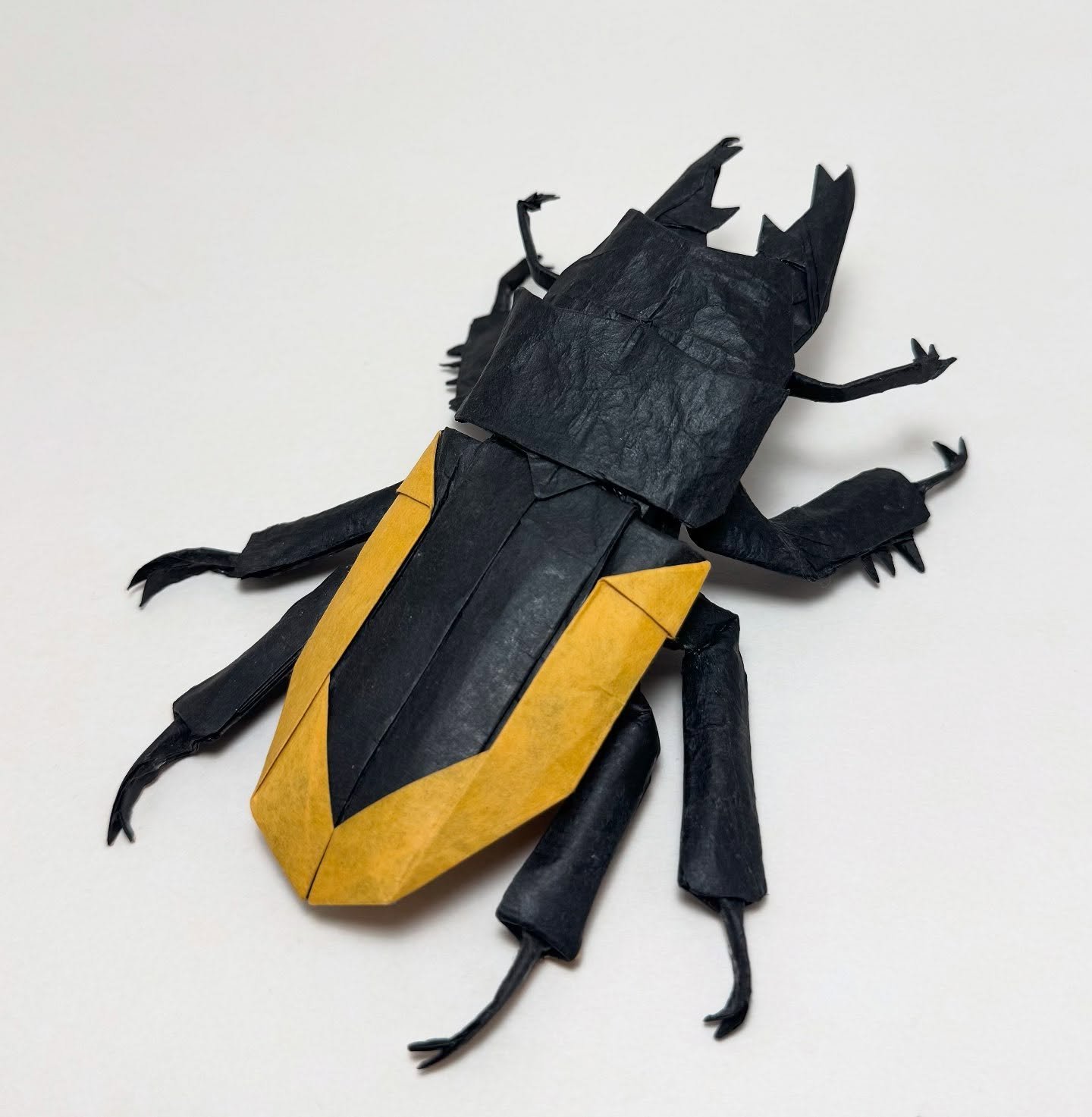 Prosopocoilus hasterti, designed by @634fold , folded from CP with a 40cm square of duo black tissue/ light orange Cabbage Paper. I selectively MC&rsquo;d the orange paper only to the bottom of the paper to get good color separation and still keep th