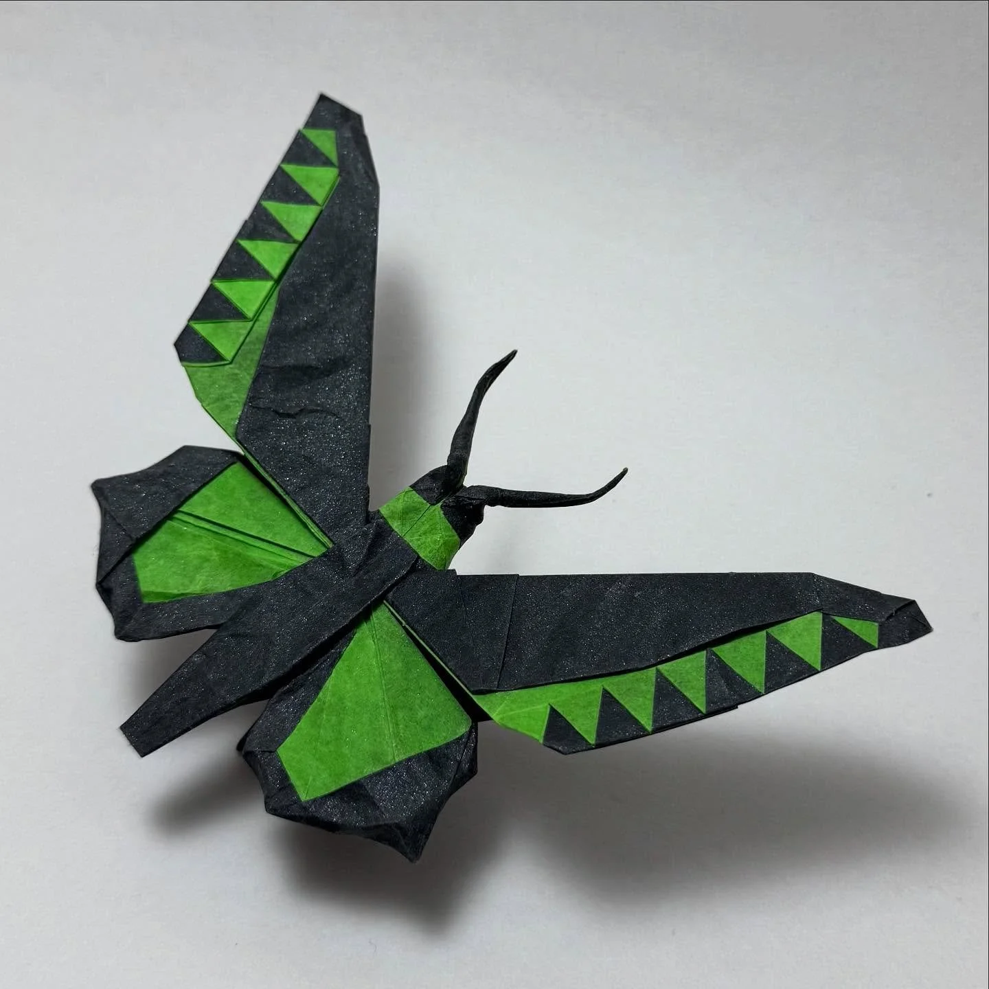 Rajah Brooke&rsquo;s Birdwing Butterfly
Designed by @ori_canth 
Folded with a 30cm square of Cabbage Paper
Radioactive green/ black with silver mica duo