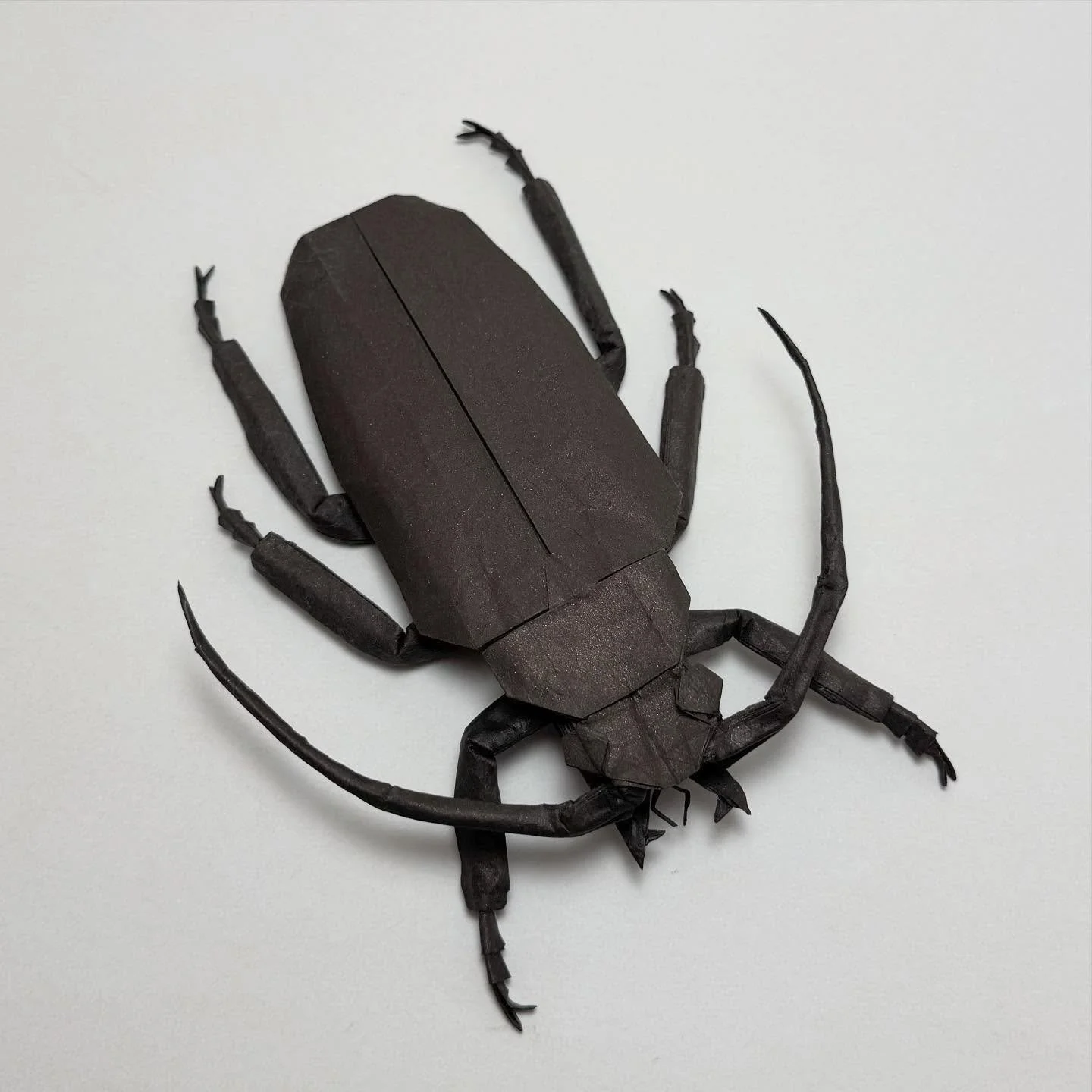 Titan Beetle, designed by Shuki Kato (@shuki_kato ), folded with a 56.5cm square of Origamidō, brown with mica, 31gsm

I realized I still hadn&rsquo;t folded with one of the large Origamidō sheets I made during the weekend at their studio two years a