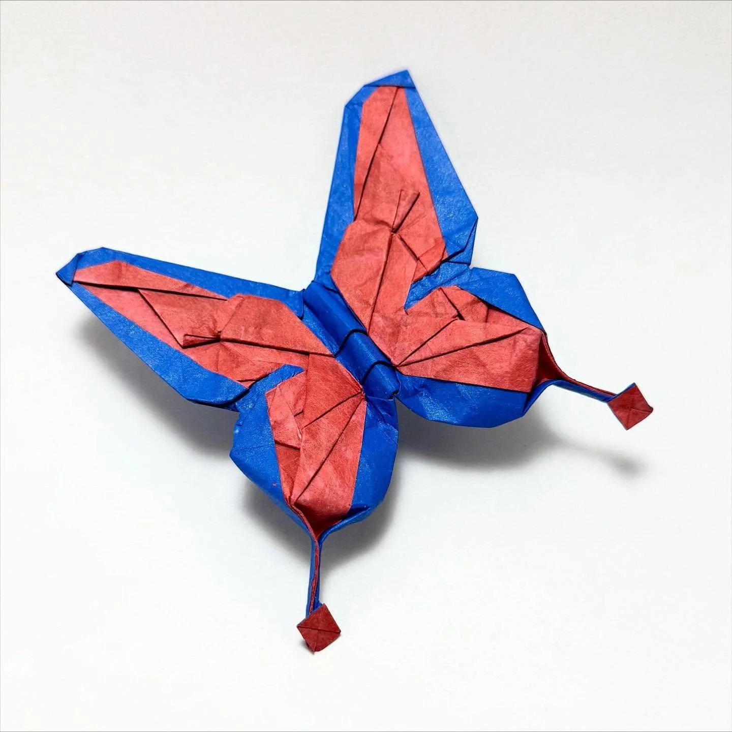 Butterfly, designed by Reza (@rezafolds )
Folded from photo diagrams with a 15cm square of duo Origamidō Red/Blue (both with mica).

Thanks for sharing the PDs Reza, this was a really fun fold and a cool structure. Sad I missed the OUSA class, but gl