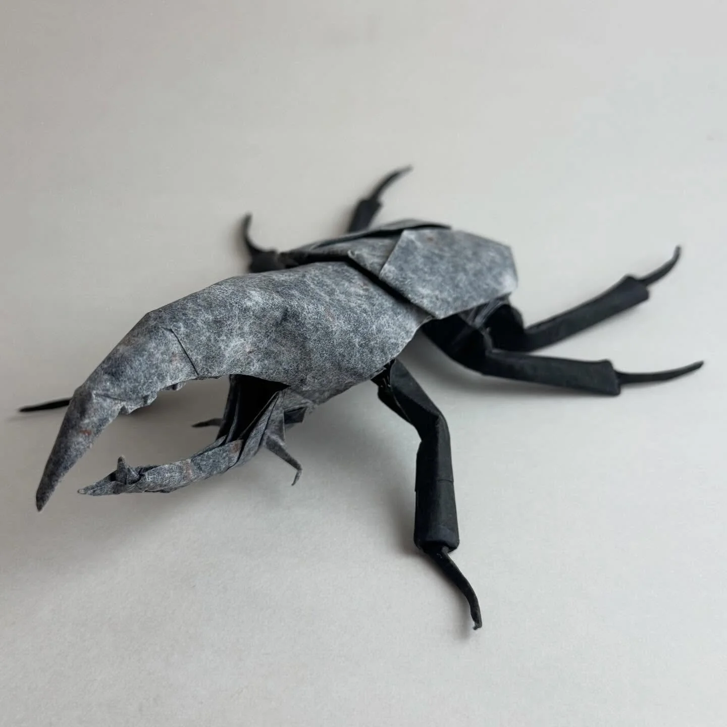 Hercules Beetle, designed by @se_origami .
Folded with 42cm black/ mottled white duo Cabbage Paper (@cabbagepaper ).

I made some slight modifications to the design so it would resemble a Dynastes grantii rather than the typical Dynastes hercules fol