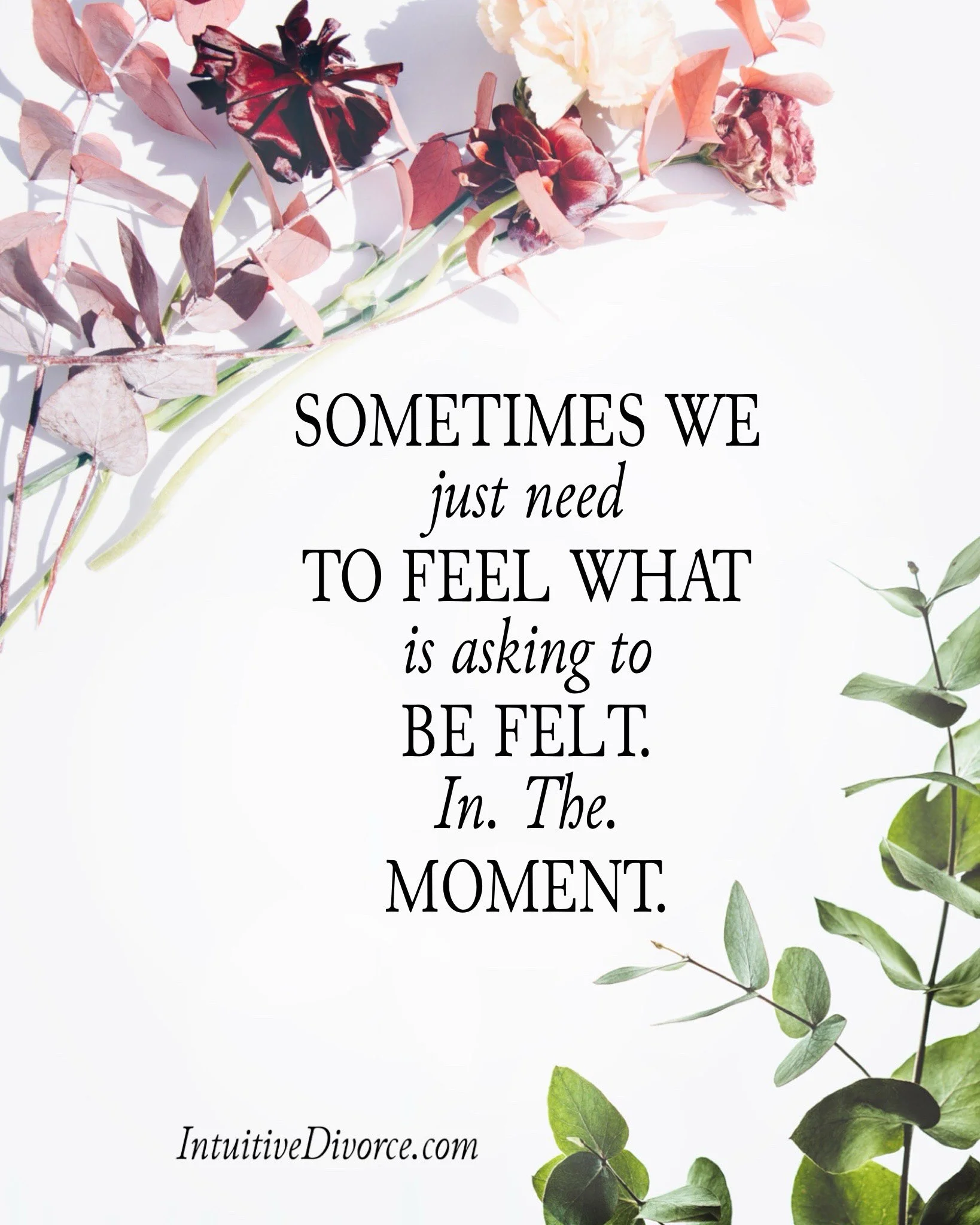 Quote card from divorce coach Kristen Noel with message, sometimes we just need to feel what is asking to be felt in the moment.