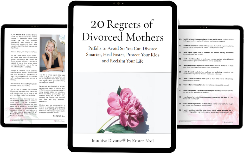 Cover art for 20 Regrets of Divorced Mothers PDF