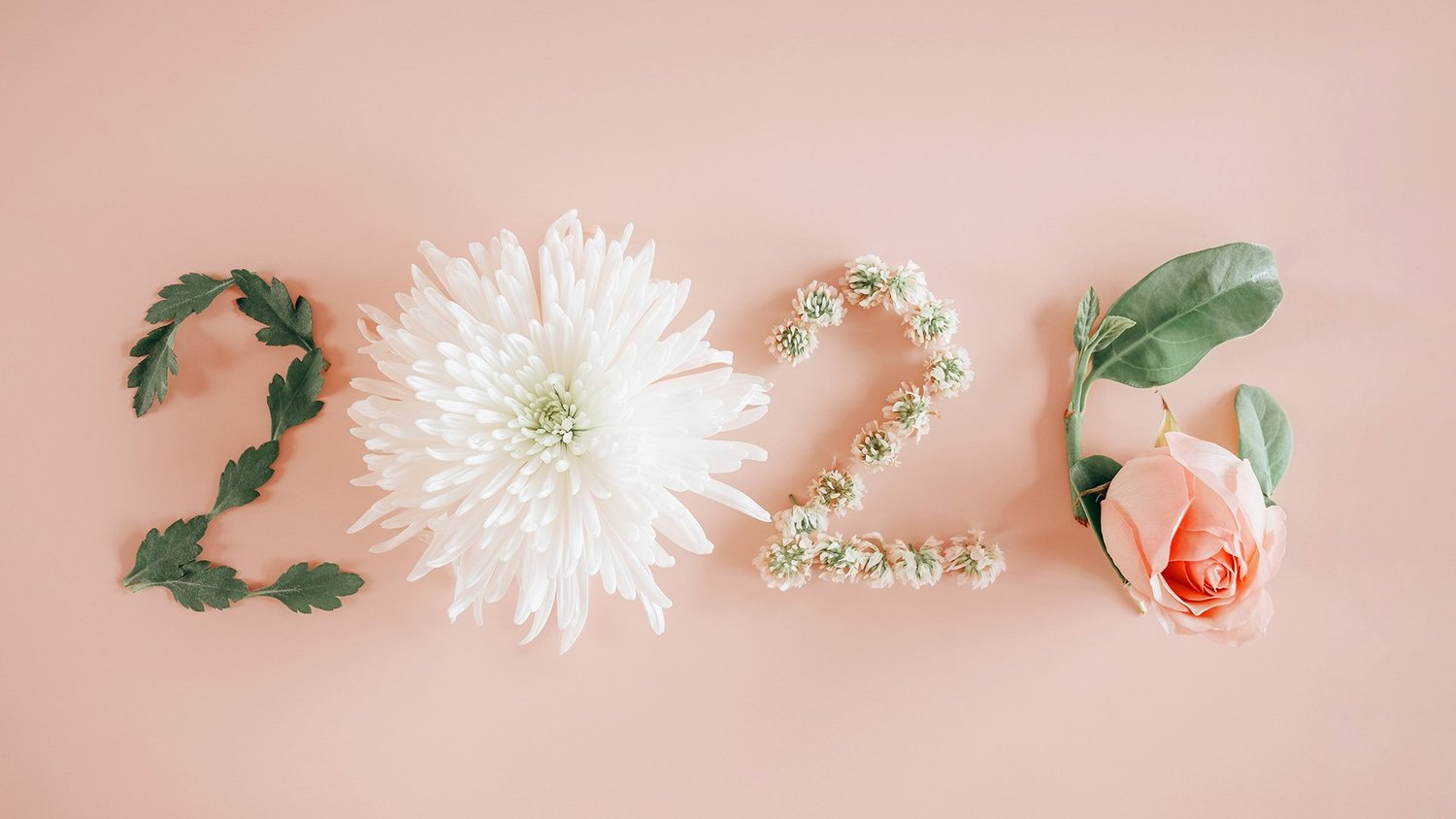 Ditch the Resolutions Ditch the Resolutions