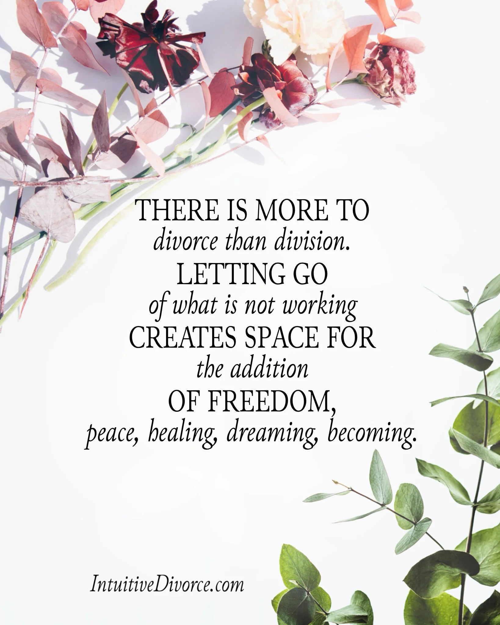 Quote card from divorce coach Kristen Noel with the message: There is more to divorce than division. Letting go of what is not working creates space for the addition of freedom, peace, healing, dreaming, becoming.