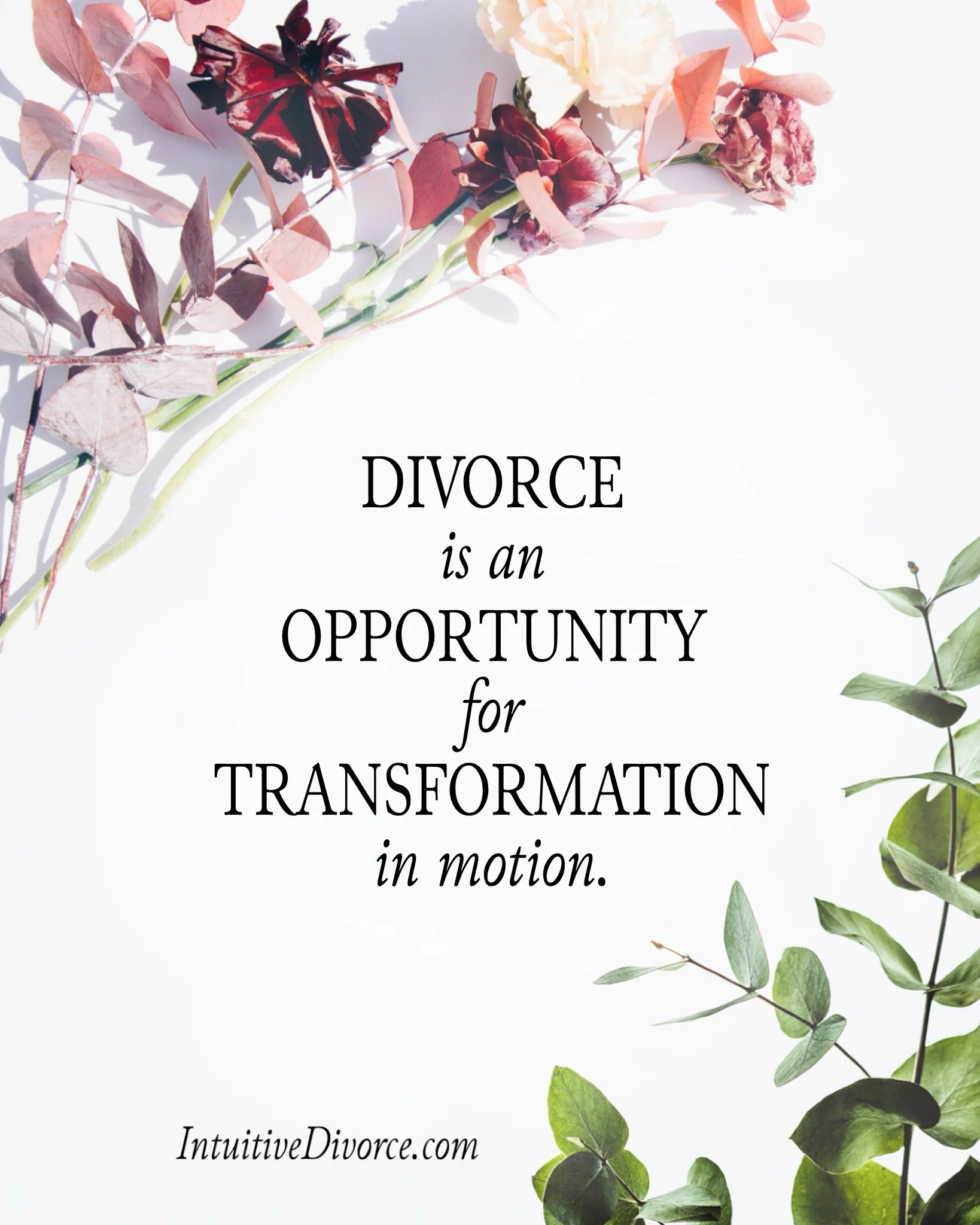 Quote card from divorce coach Kristen Noel with the message: Divorce is an opportunity for transformation in motion.