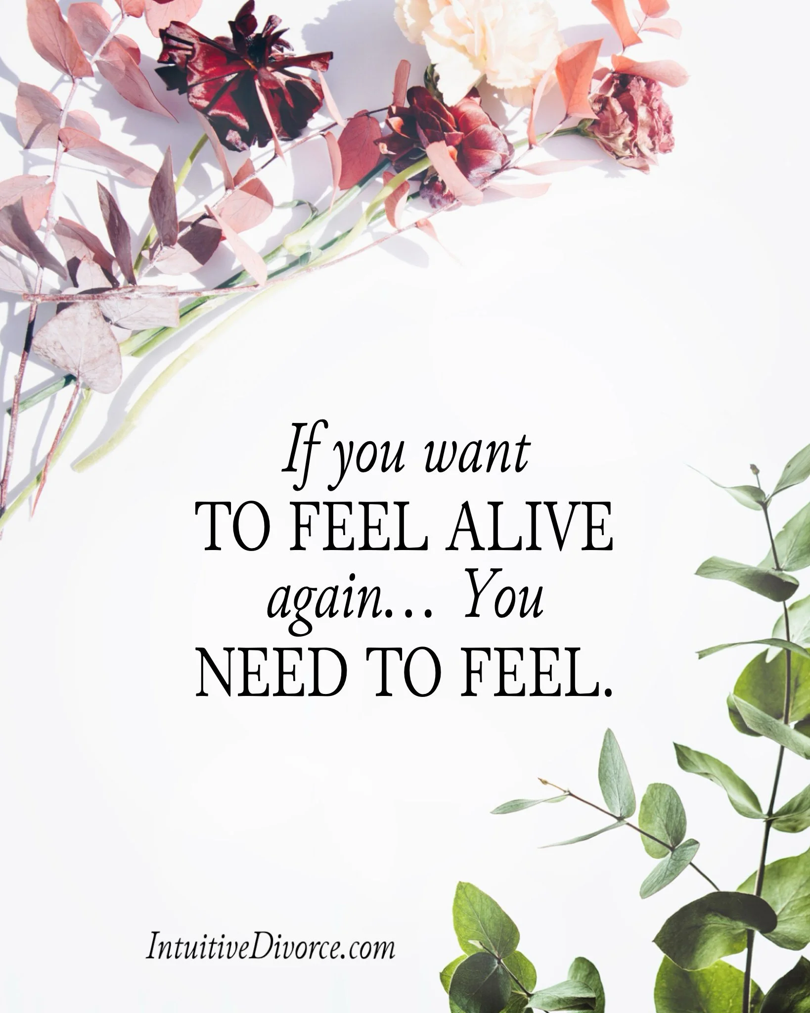 Quote card from divorce coach Kristen Noel with the message: If you want to feel alive again...you need to feel.